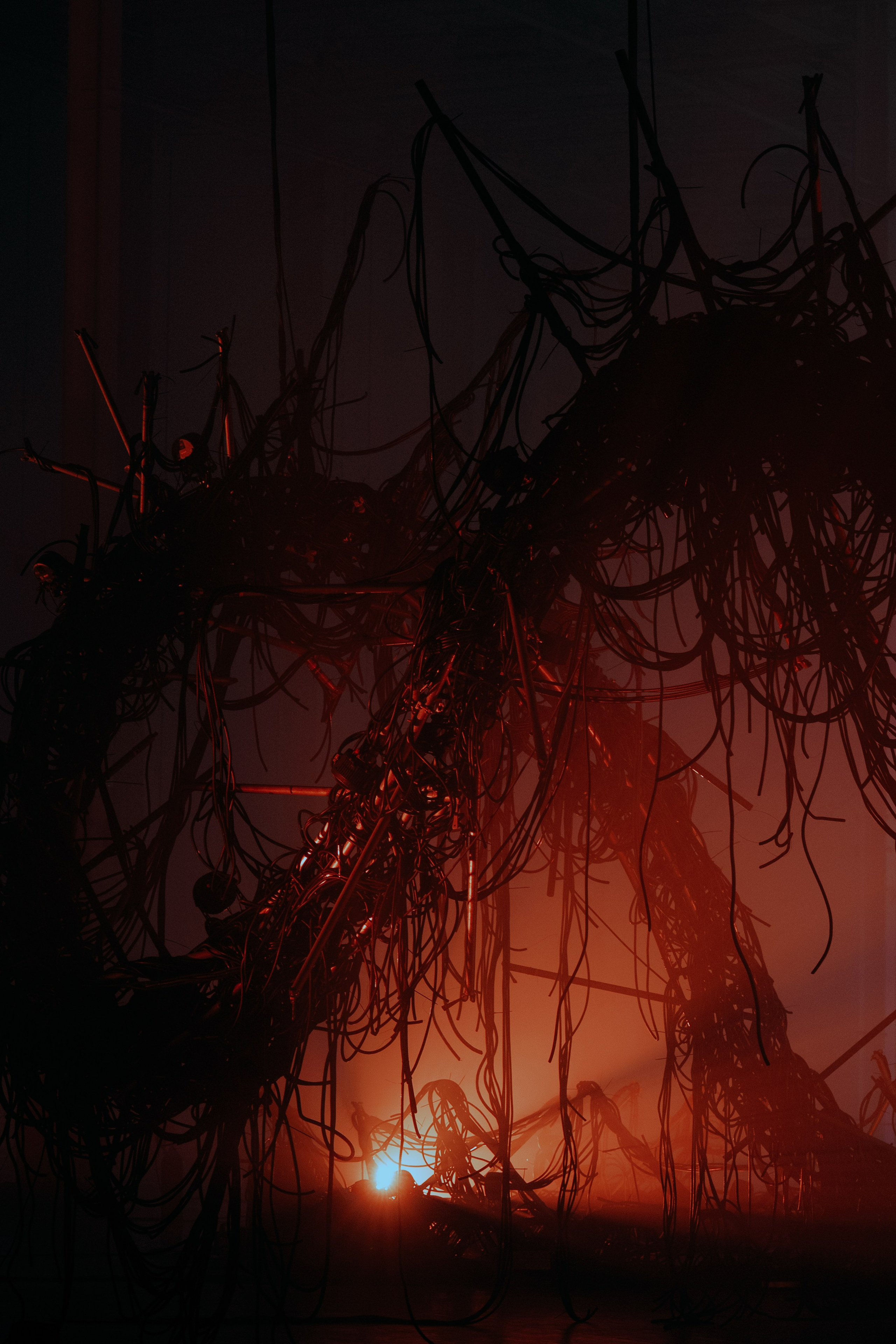 PANTERRA, CHRONOMORPH 001. @tomrus: Рустам Шагиморданов — фотограф