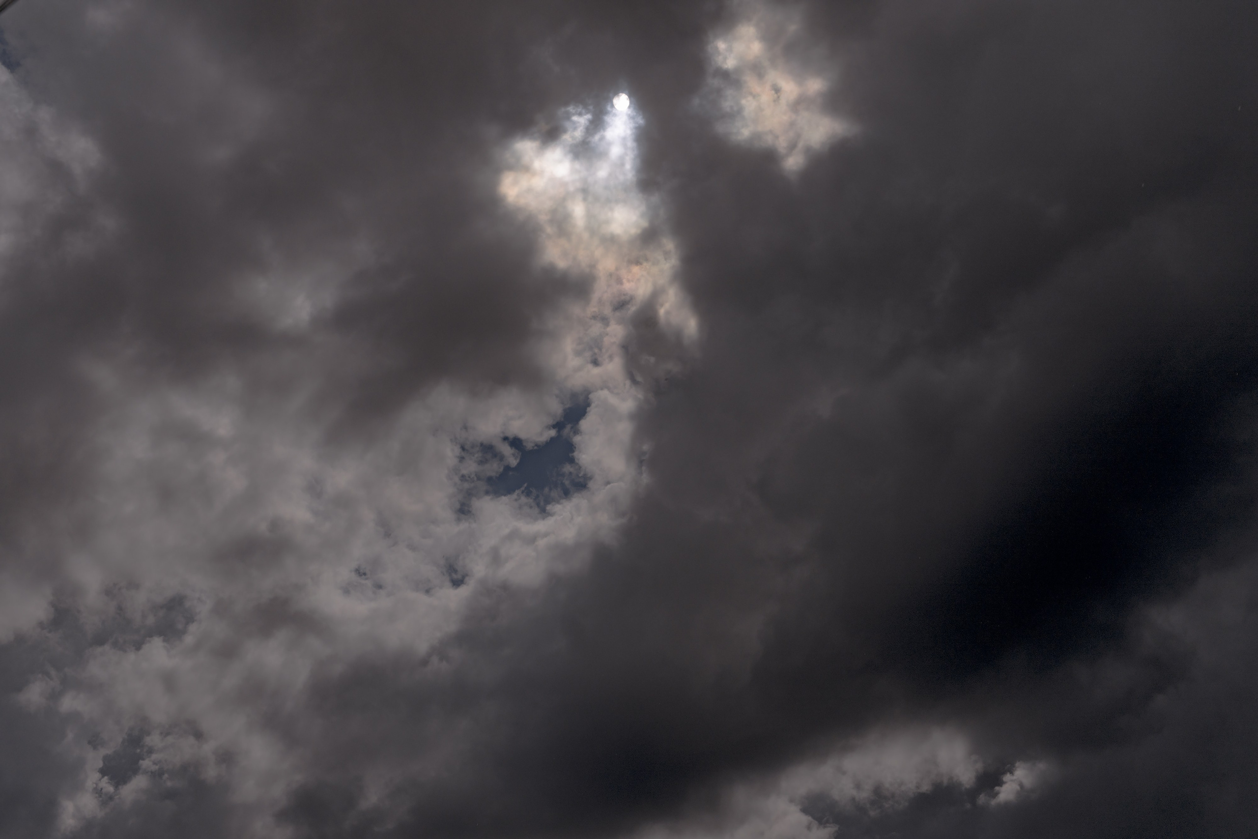 Станислав & Дарья. Дмитрий Позняк — свадебный фотограф в Брянске. Личный сайт фотографа