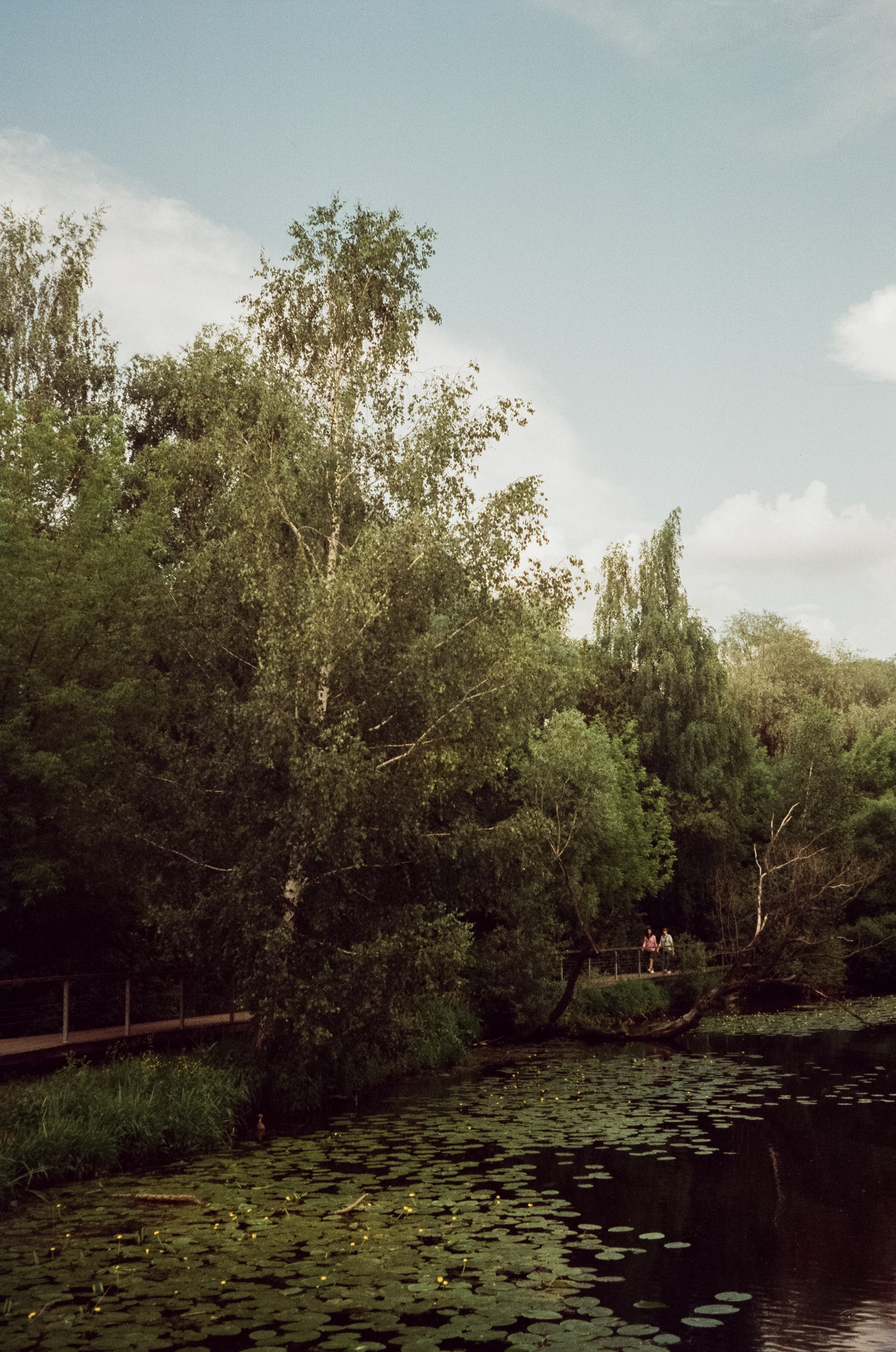 Agfa Optima Sensor 1035 / SFL 250D / тестовая пленка Строгино у речки