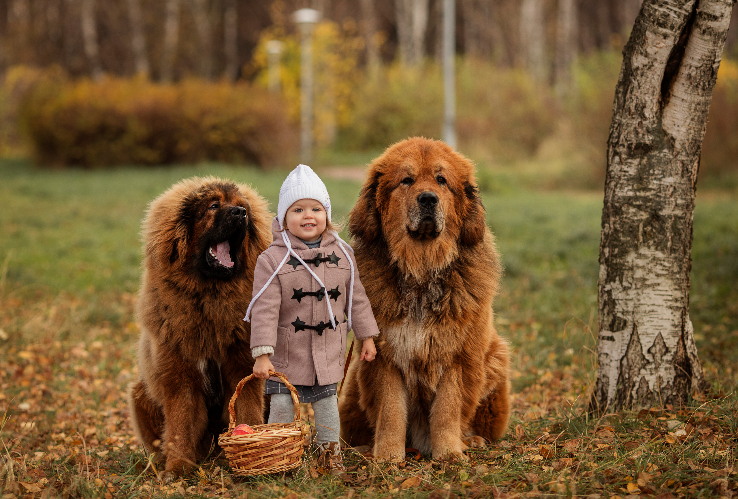 Сказочная фотосессия с животными. Семейный и детский фотограф в Москве Олеся Маркина