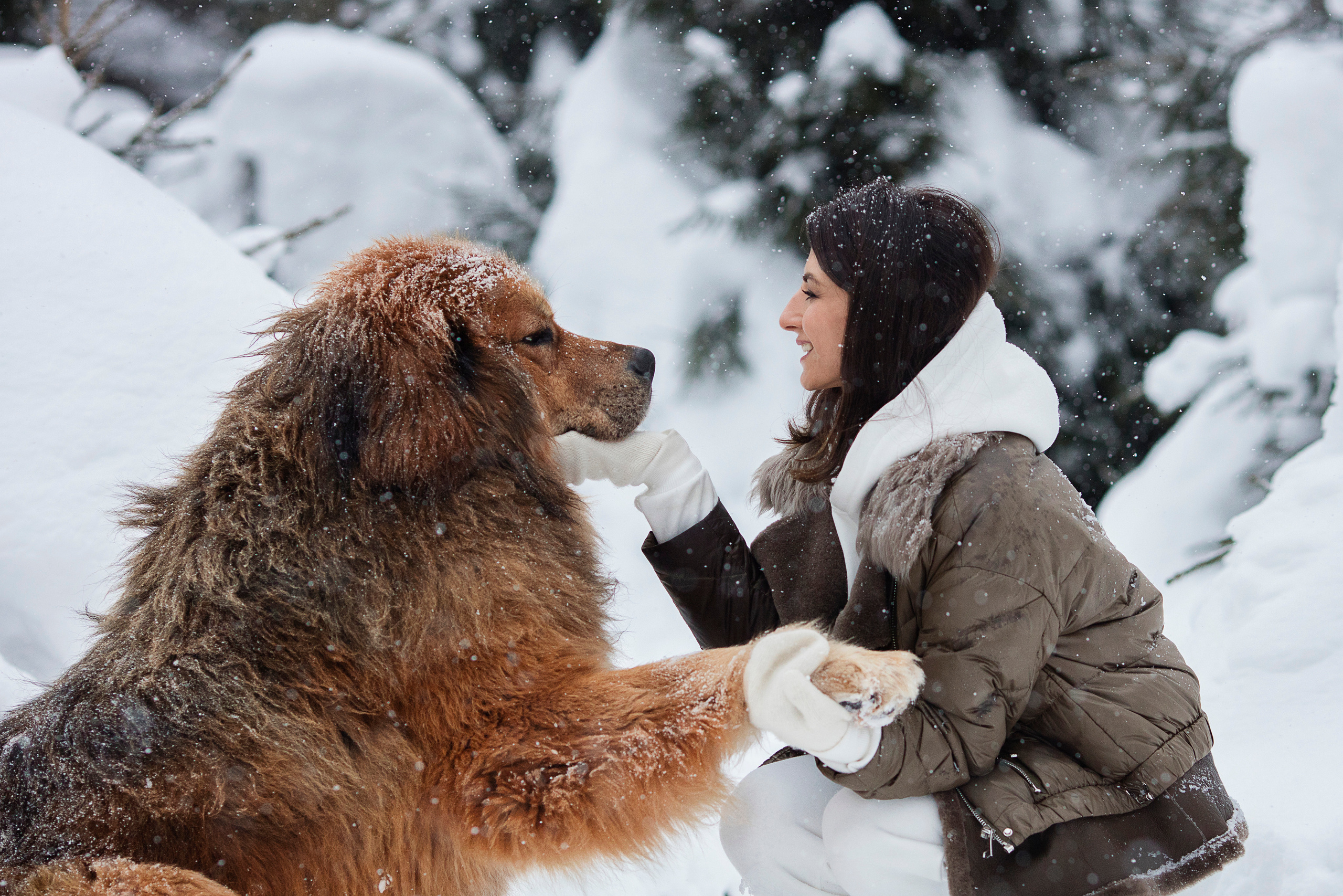 Сказочная фотосессия с животными. Семейный и детский фотограф в Москве Олеся Маркина