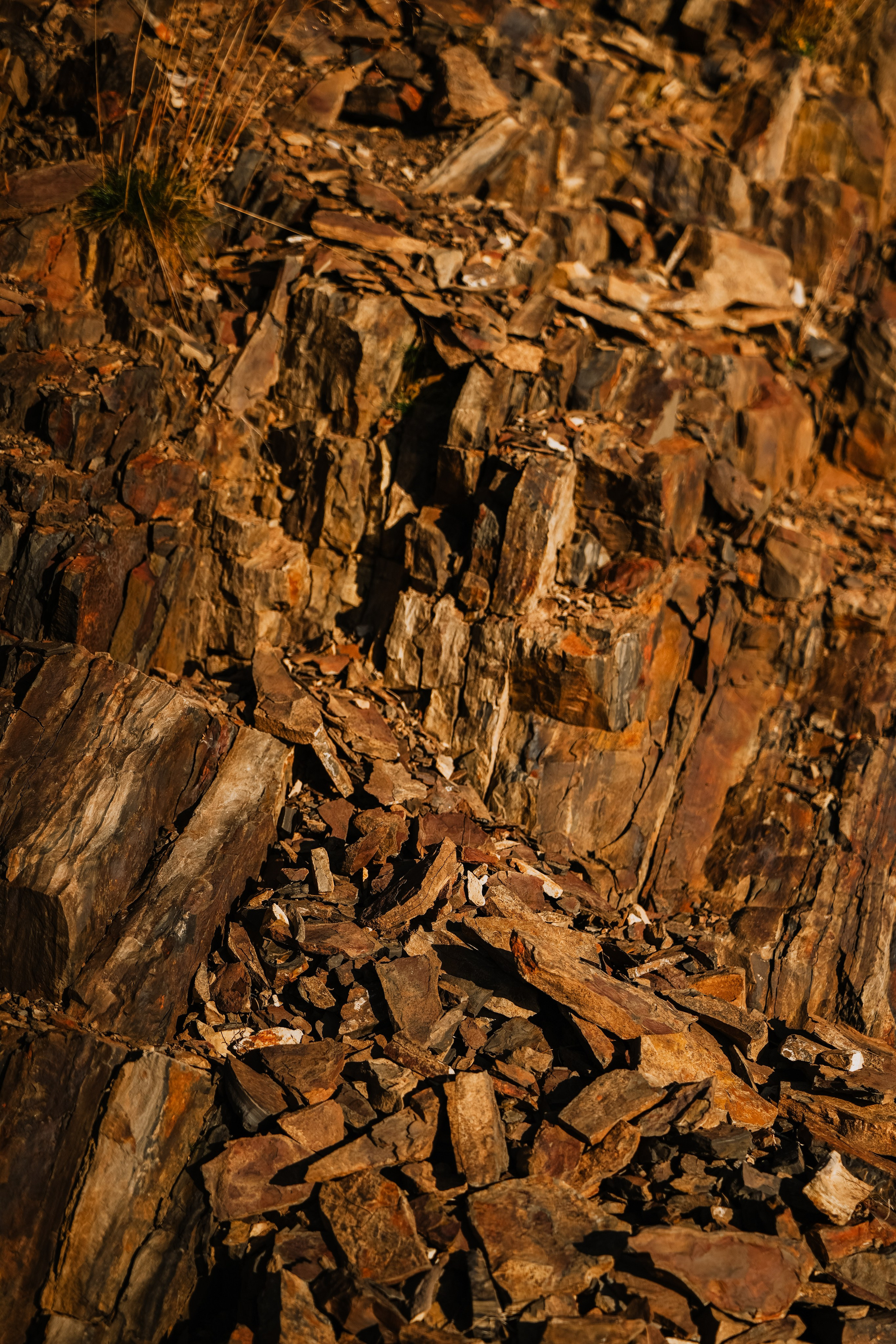 Роза Пик, тропа Турья ✽ Октябрь. Репортажный фотограф | Роза Хутор Красная Поляна Сочи Сириус