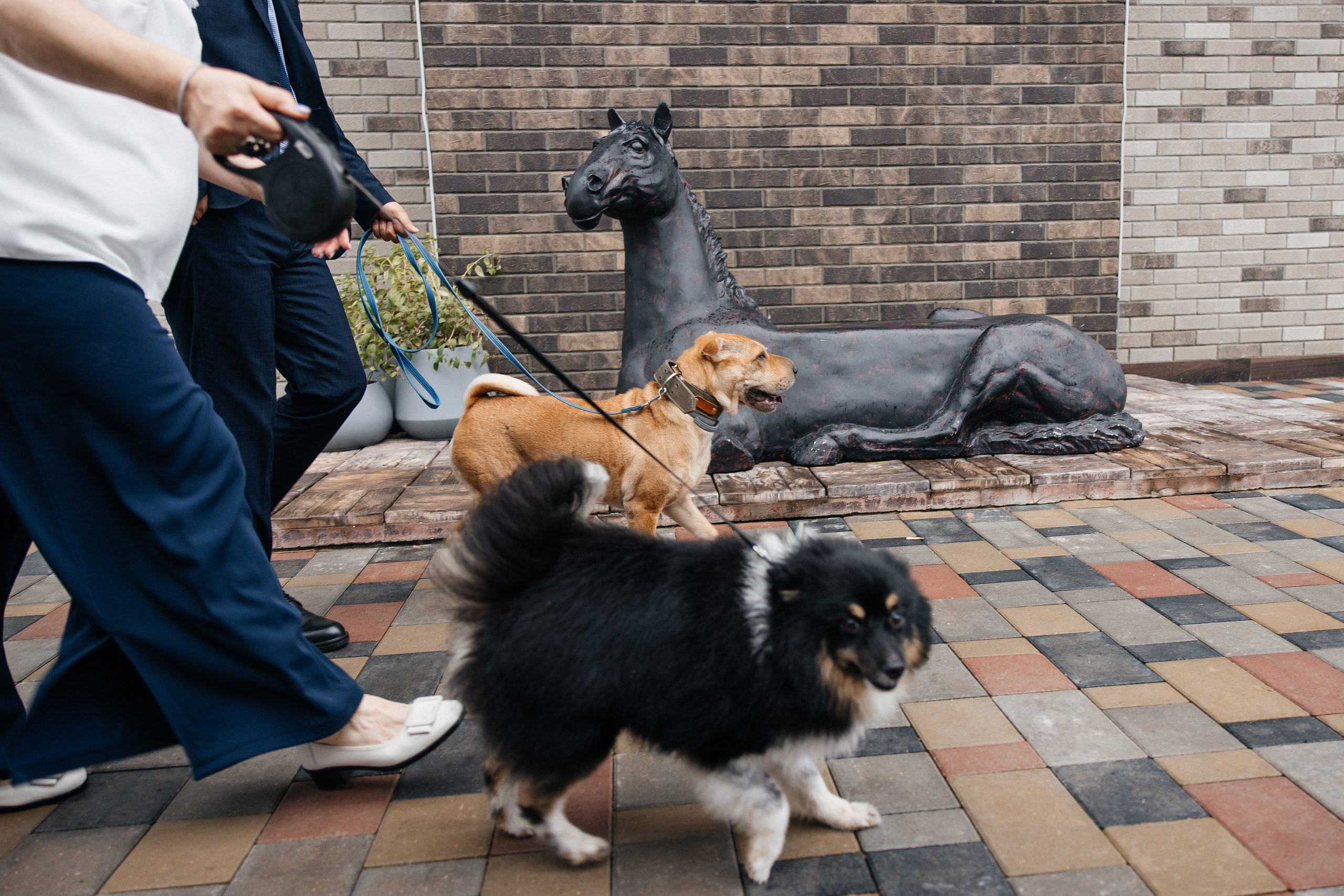 Leo & Anya. Главная