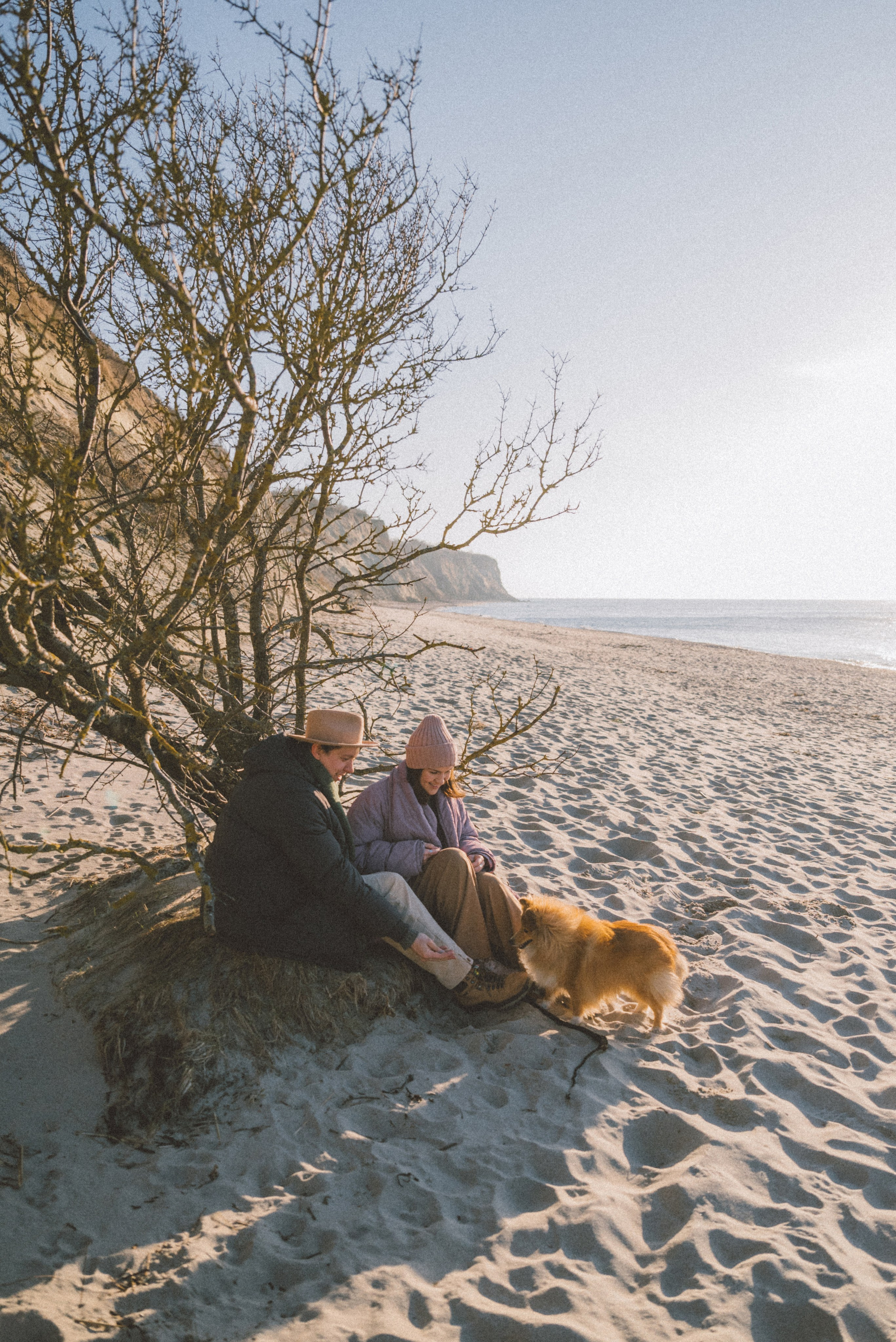 Анна и Артем. Фотограф Калининград Ангелина Воробьева