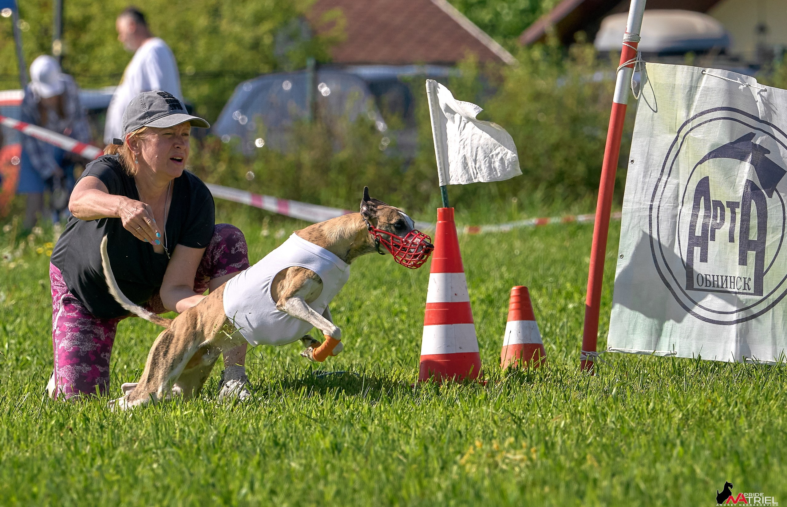 Съемка курсинг — галерея NATRIEL