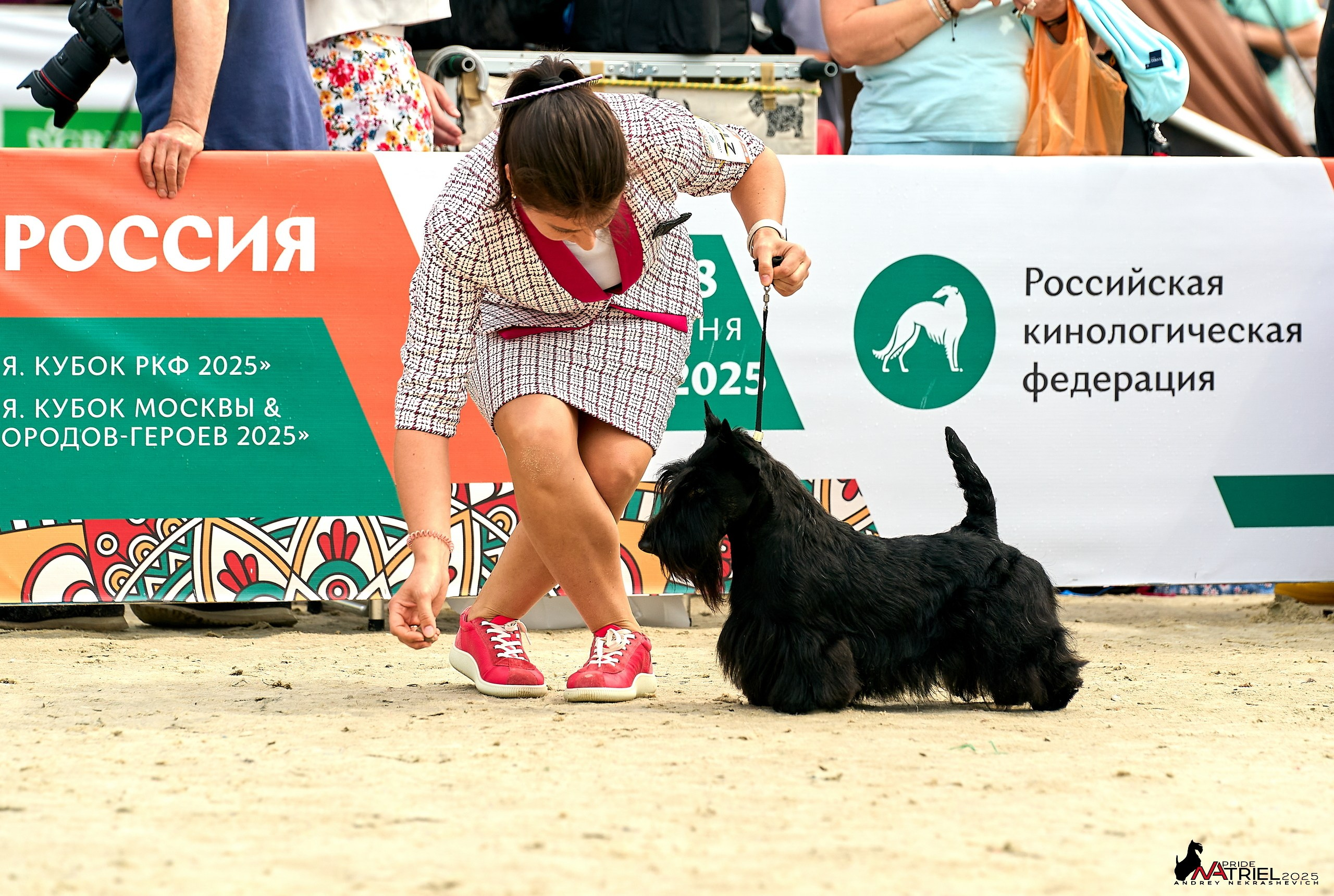 Выставка собак РОССИЯ — 2025