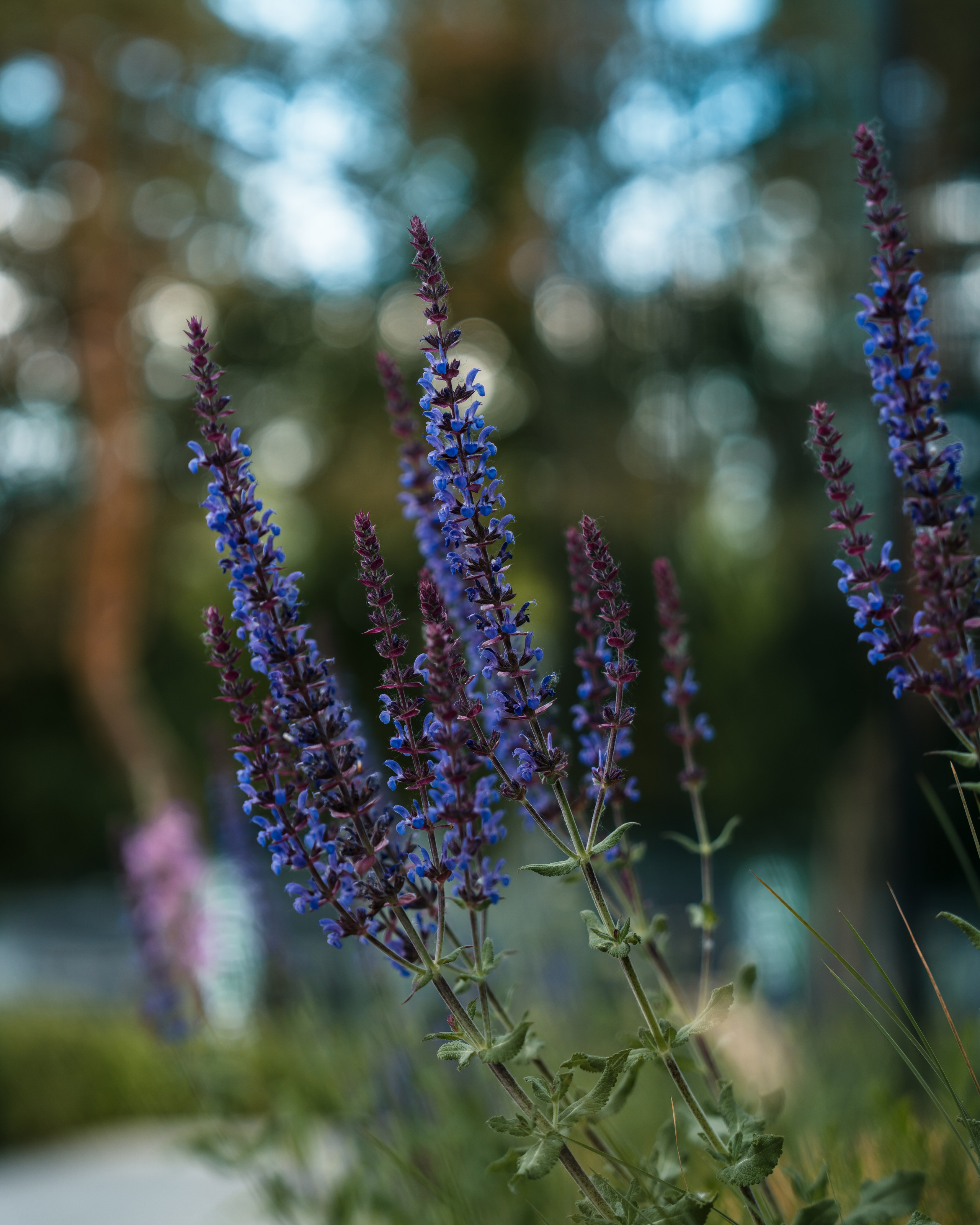 Moments, FORMA. @tomrus: Рустам Шагиморданов — фотограф