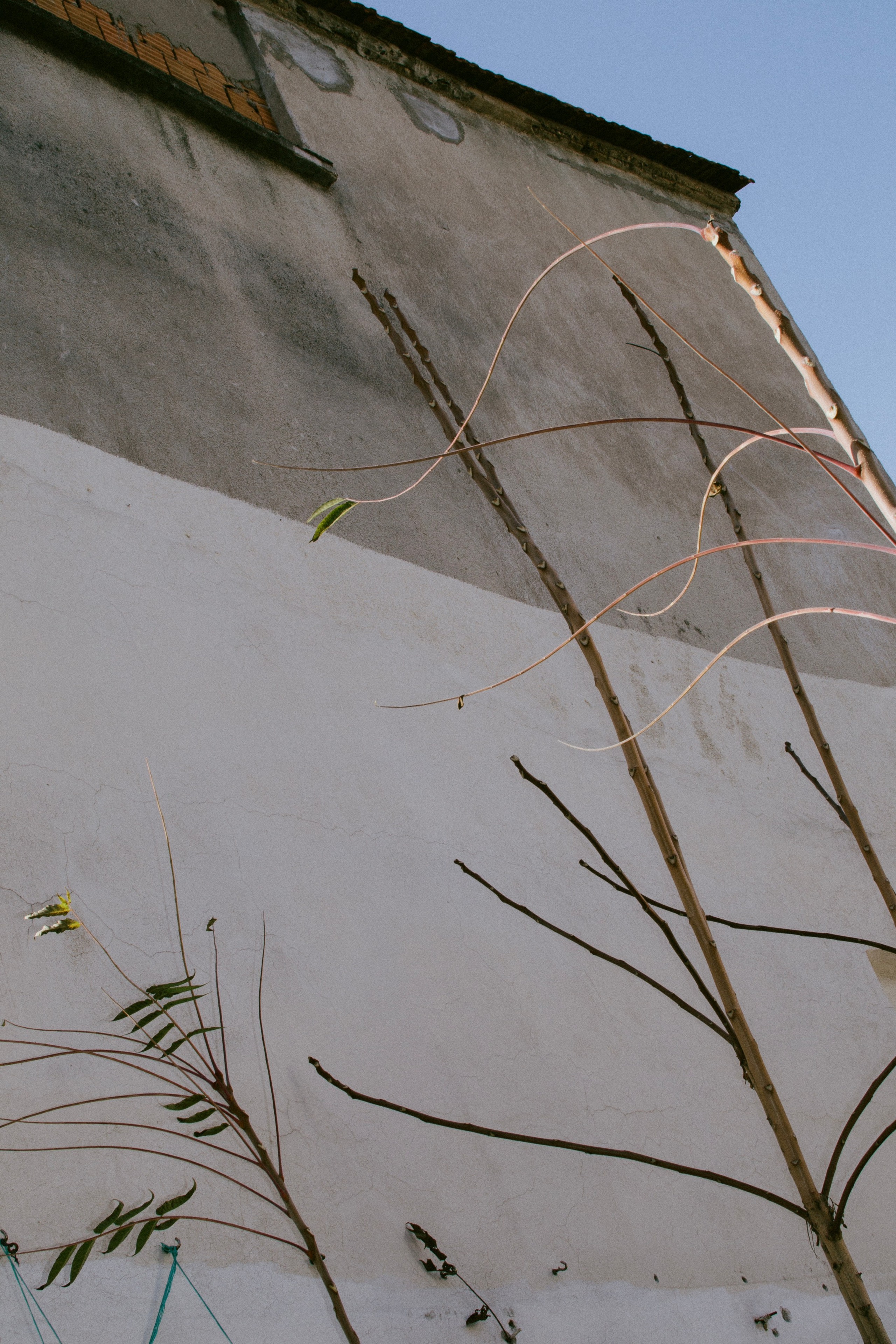 ANTALYA. Маргарита Логай. Фотограф и режиссер в Санкт-Петербурге, Москве, Сочи