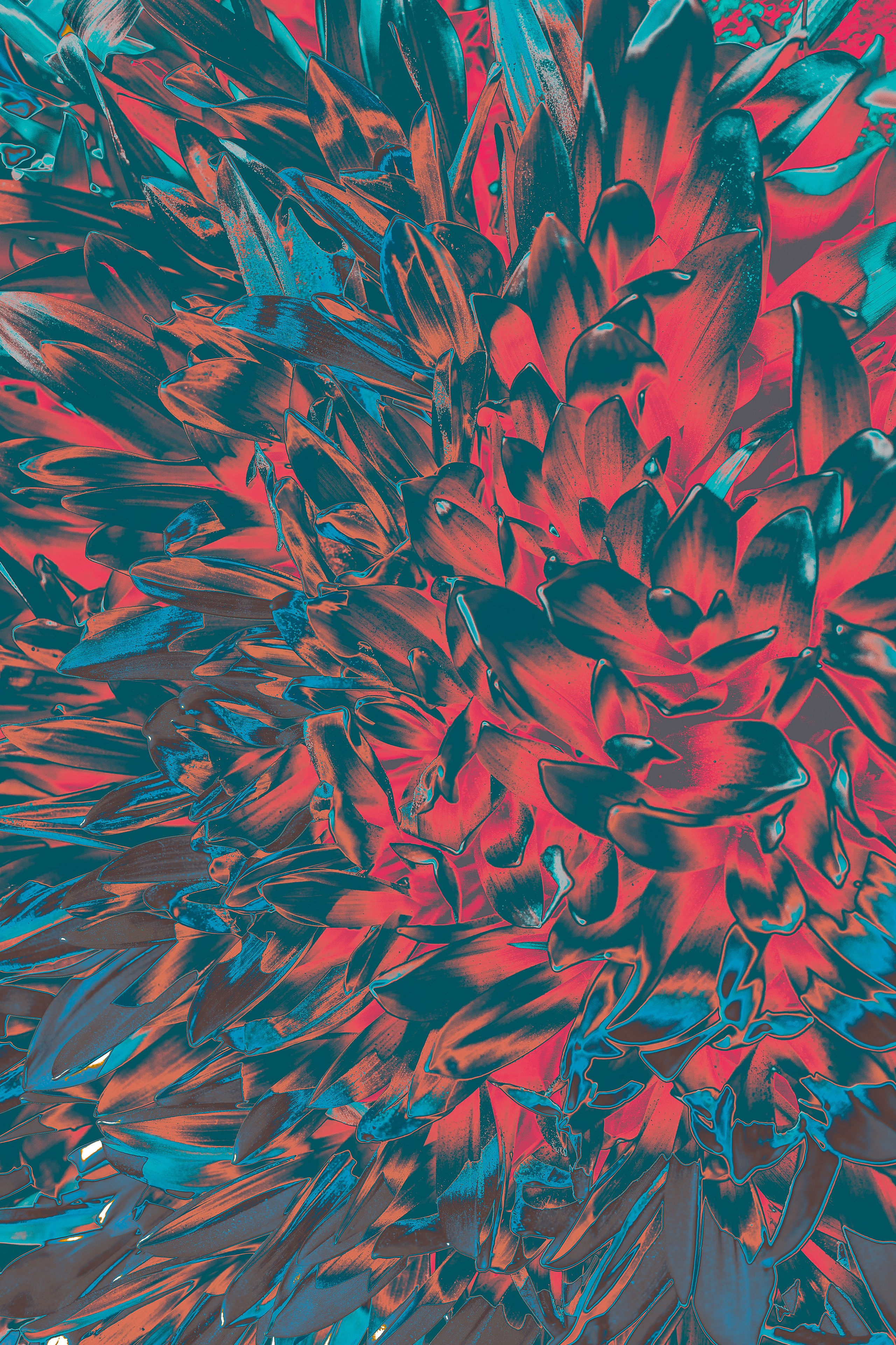 NON-EXISTENT FLOWERS. Фотограф Евгений Чащихин RGB АРХИТЕКТОР в Перми