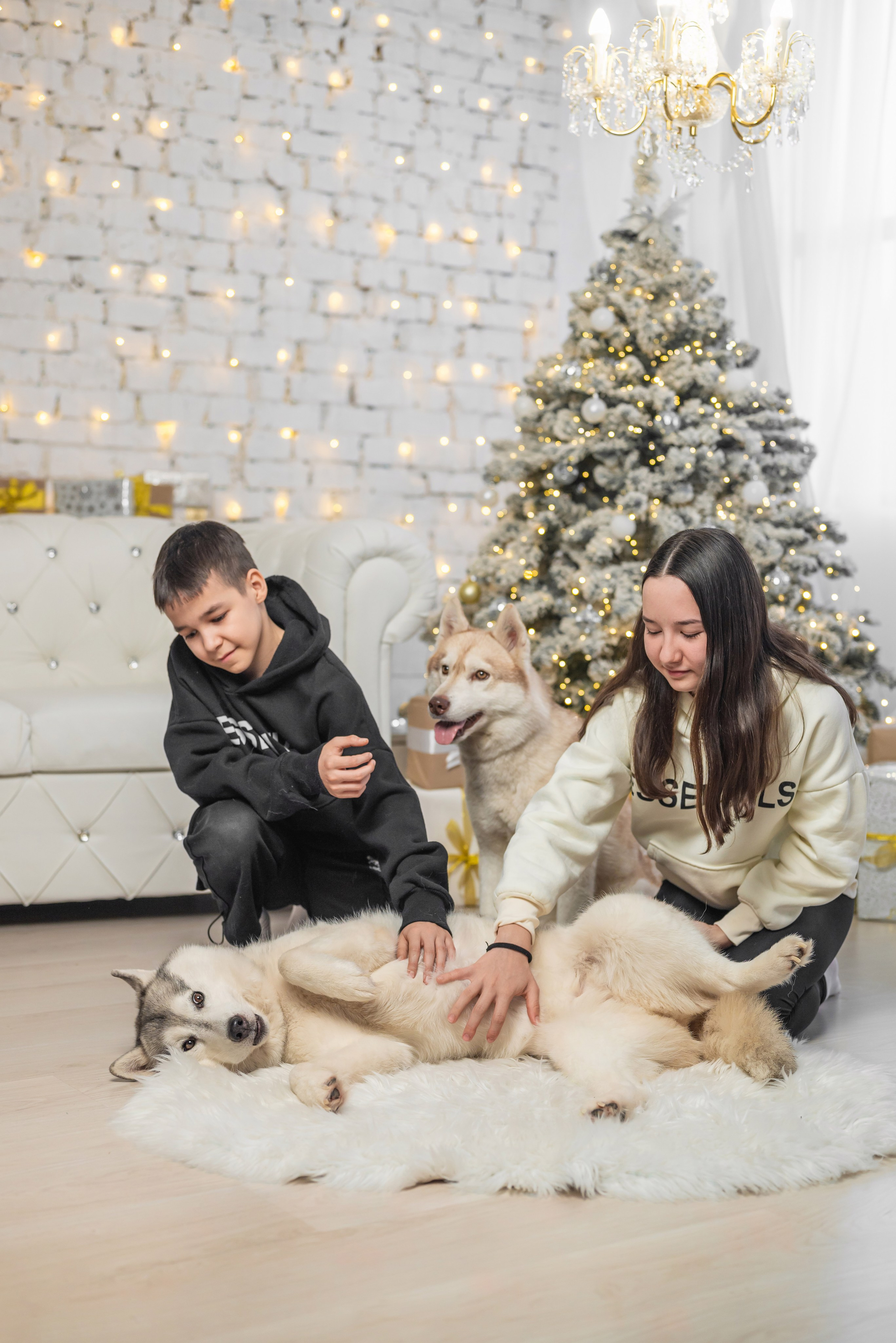 Фотопроект с хаски. Фотограф в городе Салават