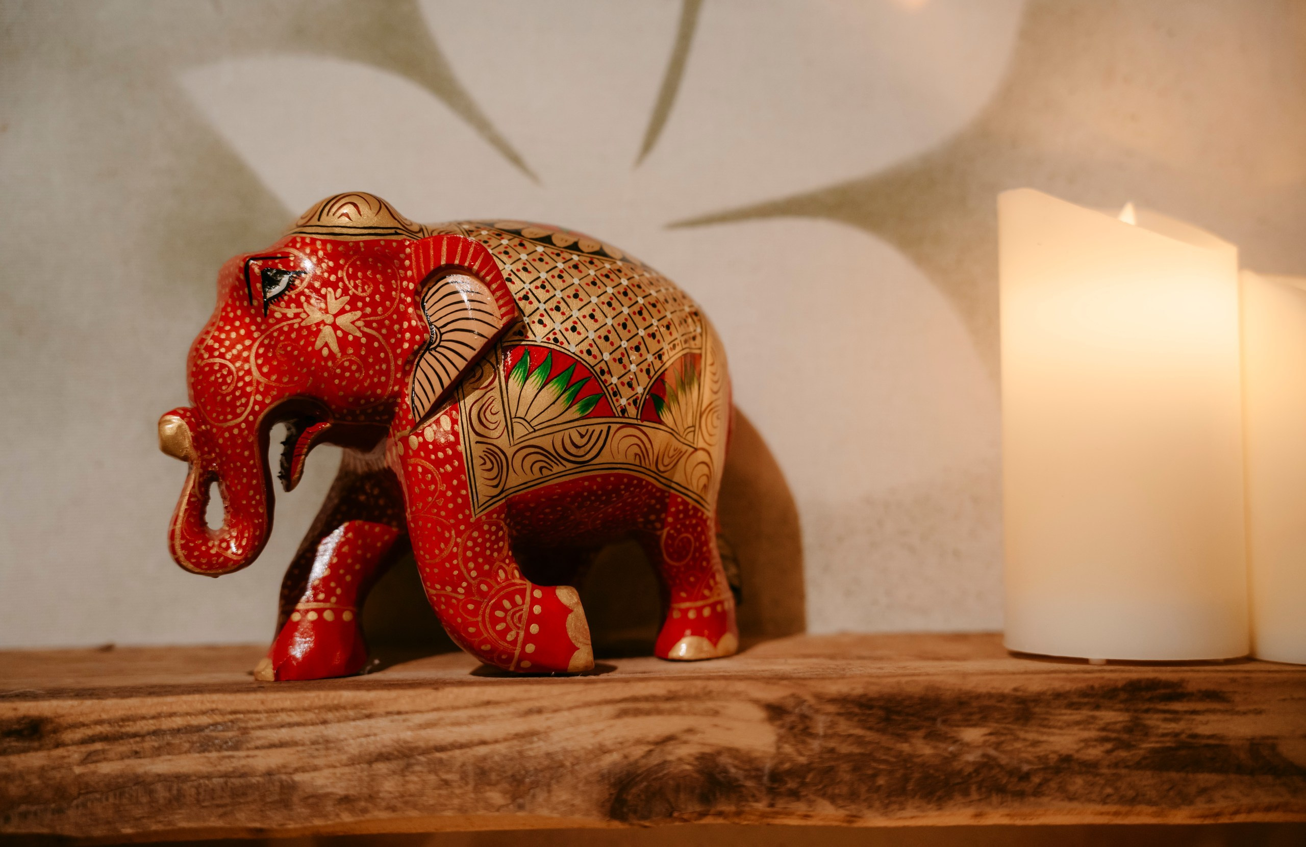 Ilangolang. Саша Копылов, фотограф в Казани