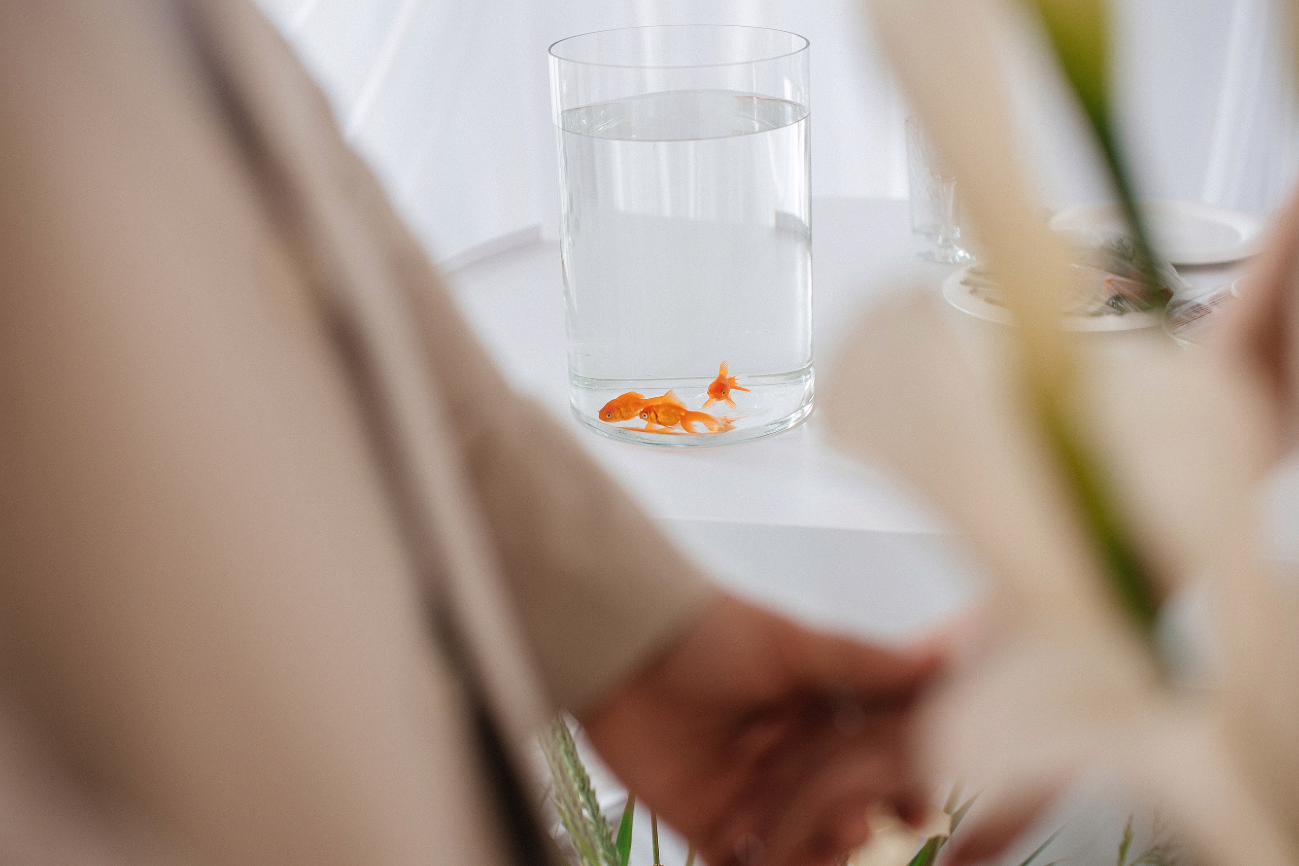 Юлианна и Михаил. Огонь и Вода. Свадебный и семейный фотограф