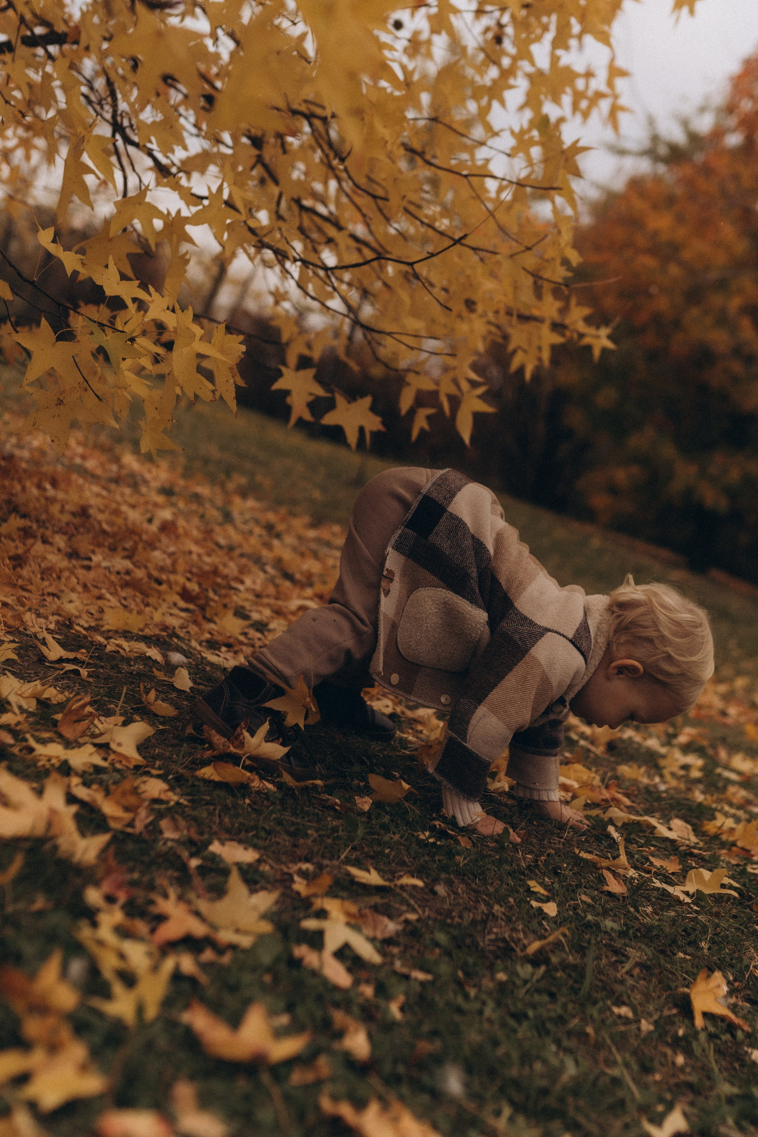Тайная опора. Семейный фотограф в Челябинске