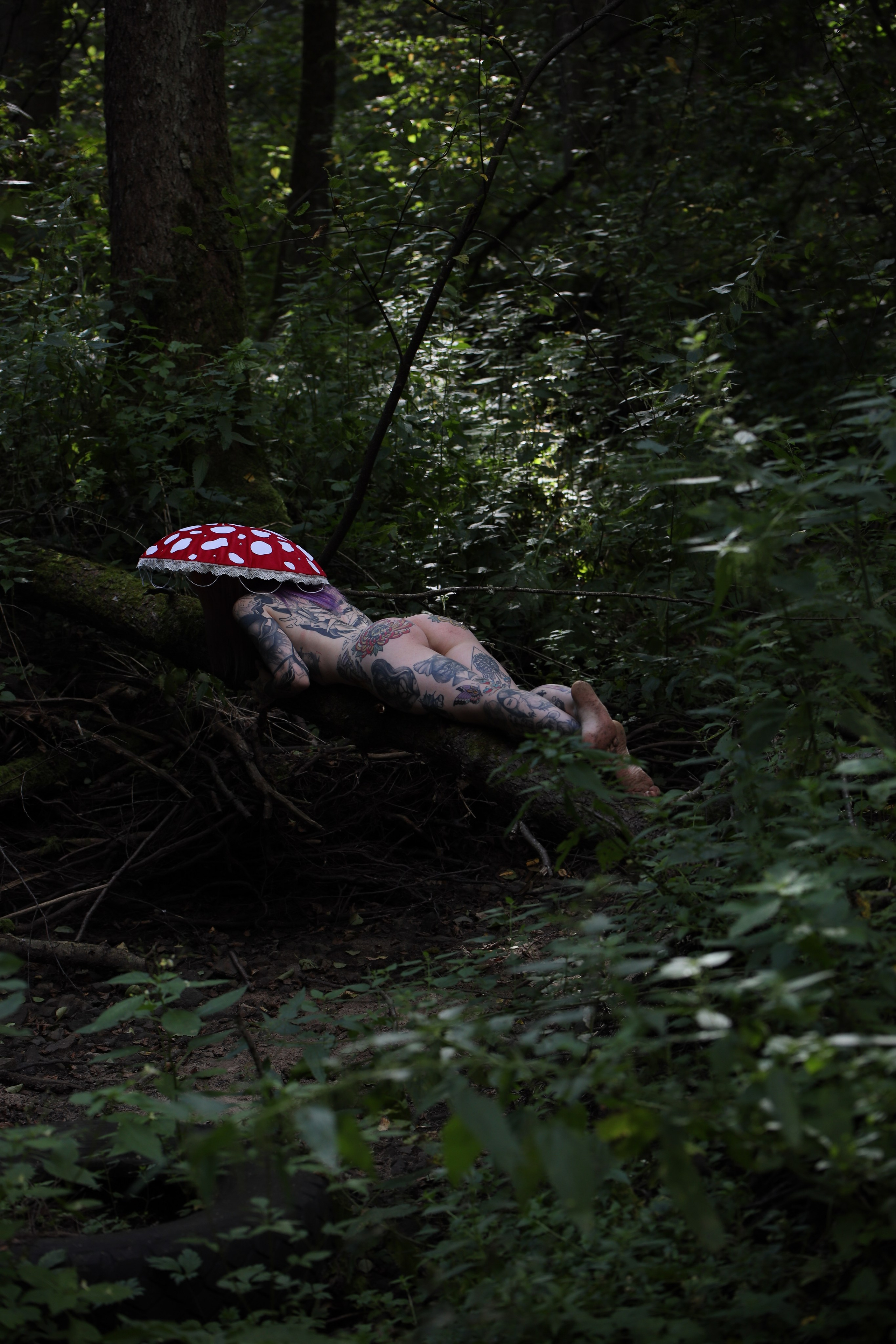 Жизнь гриба. Фотограф Игорь Михайлов