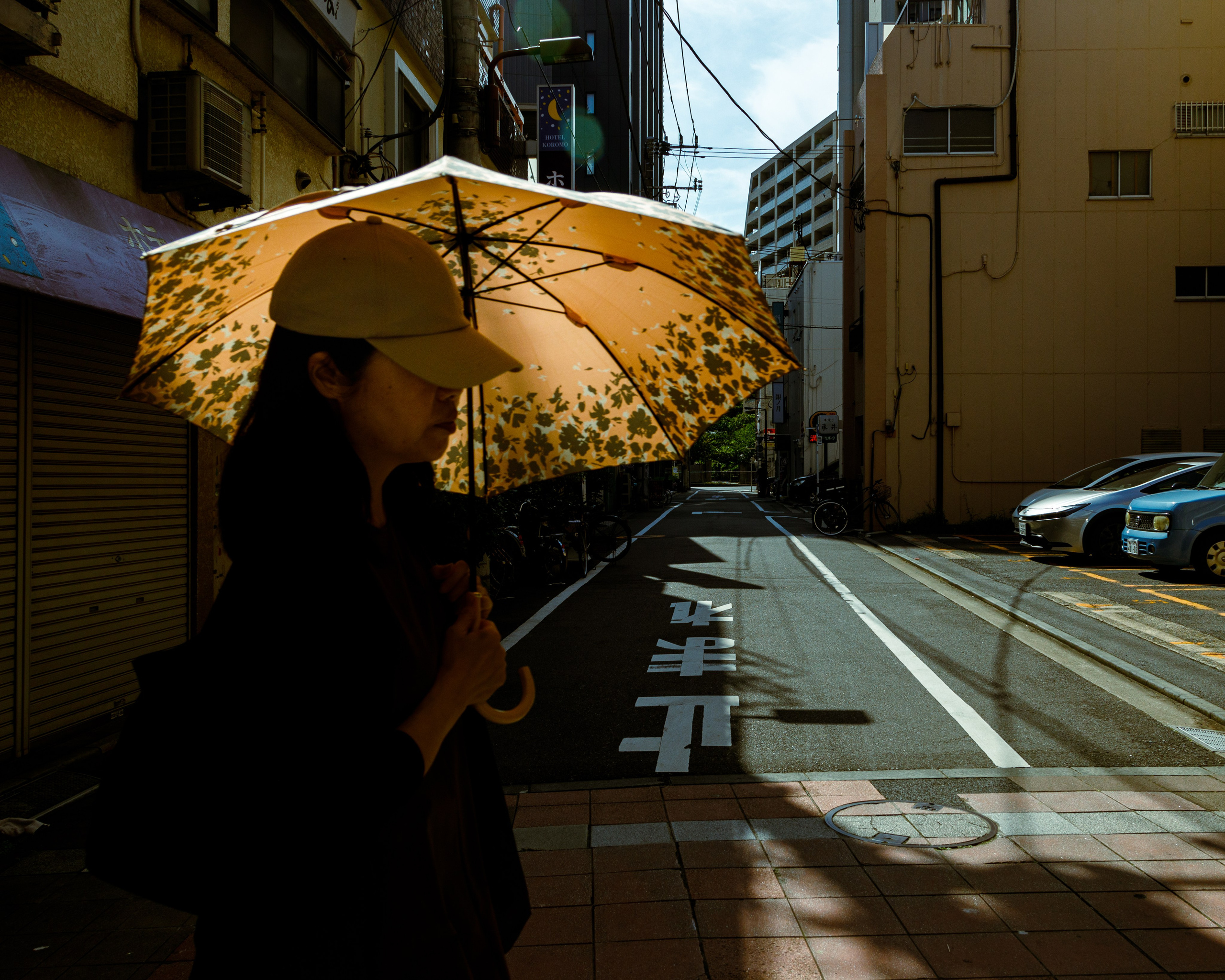 Япония. Фотограф Павел Подшивалов