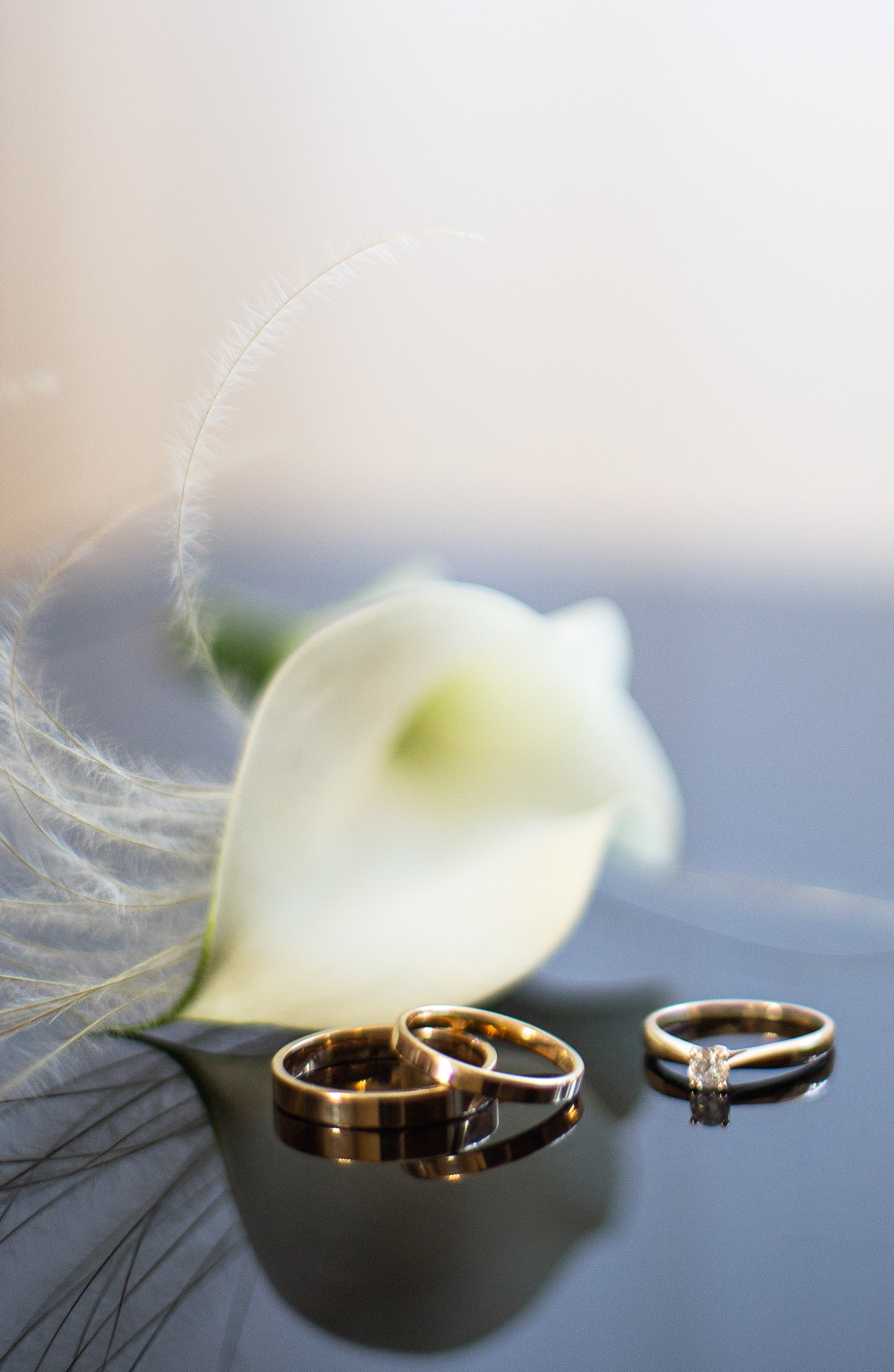 Утро невесты. SaGaFOTO.ru