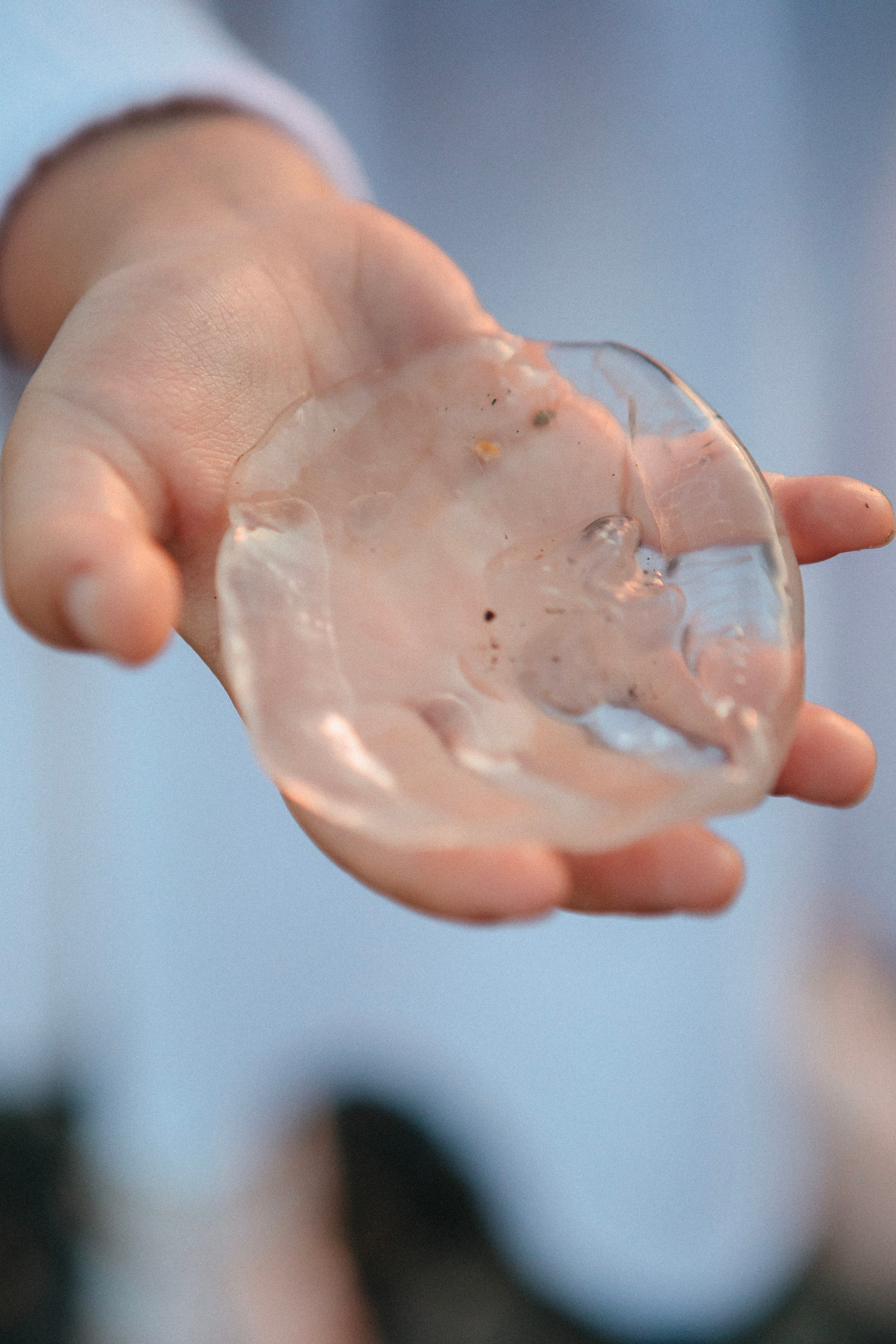 Родной круг. Семейный и свадебный фотограф Сочи Адлер Сириус Красная поляна