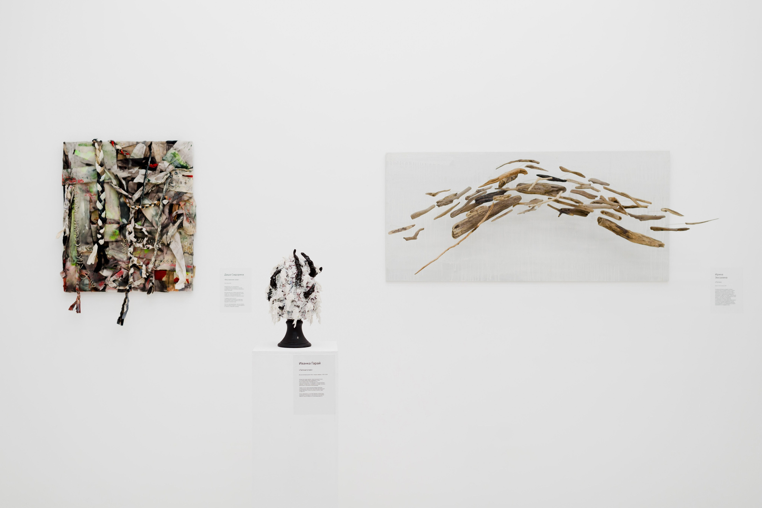 Выставки. Фотограф Руслан Хафизов