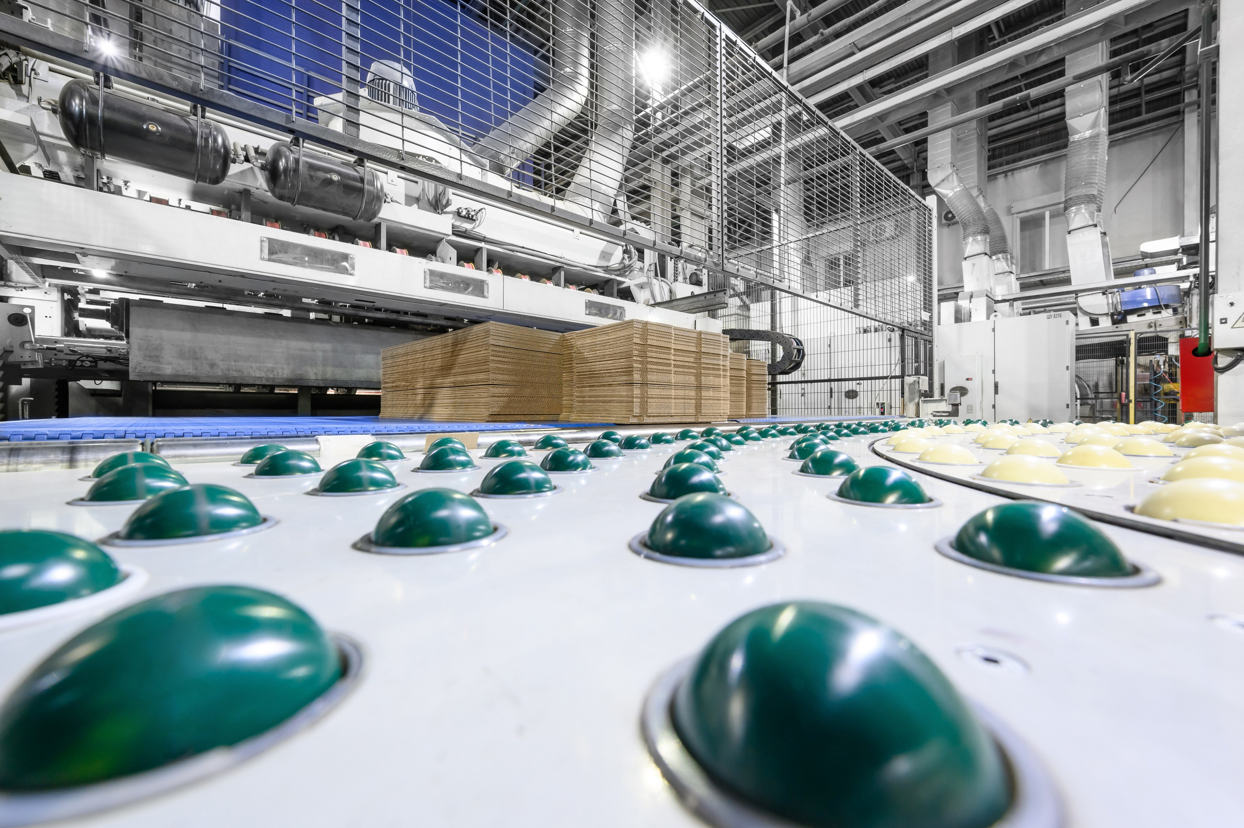 Проекты. Профессиональный фотограф Вячеслав Плацында | Липецк |