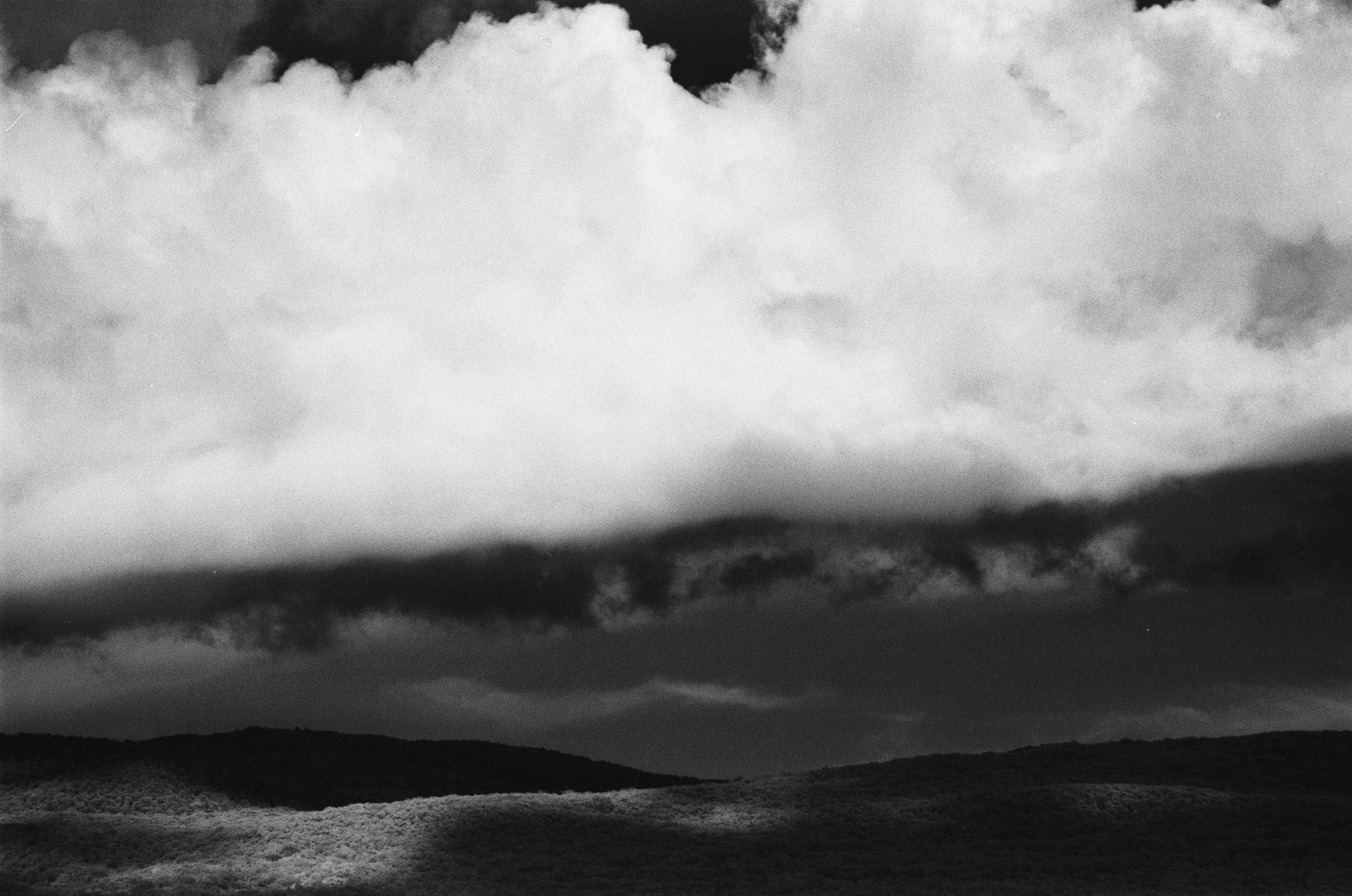 Point of no reply // ukraine, crimea V. EVER EXPOSED