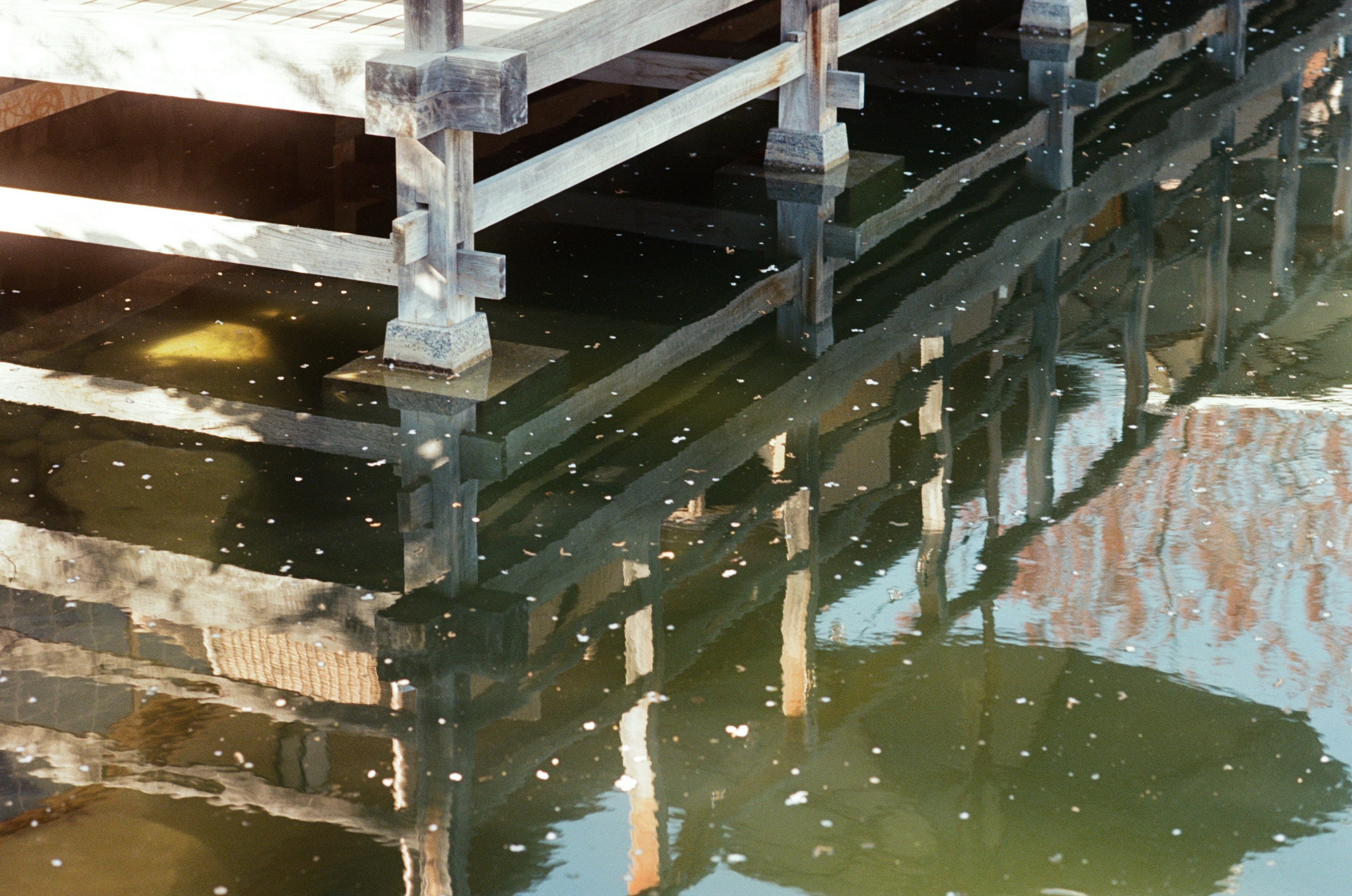 Sakura blues // ukraine, crimea VI. EVER EXPOSED