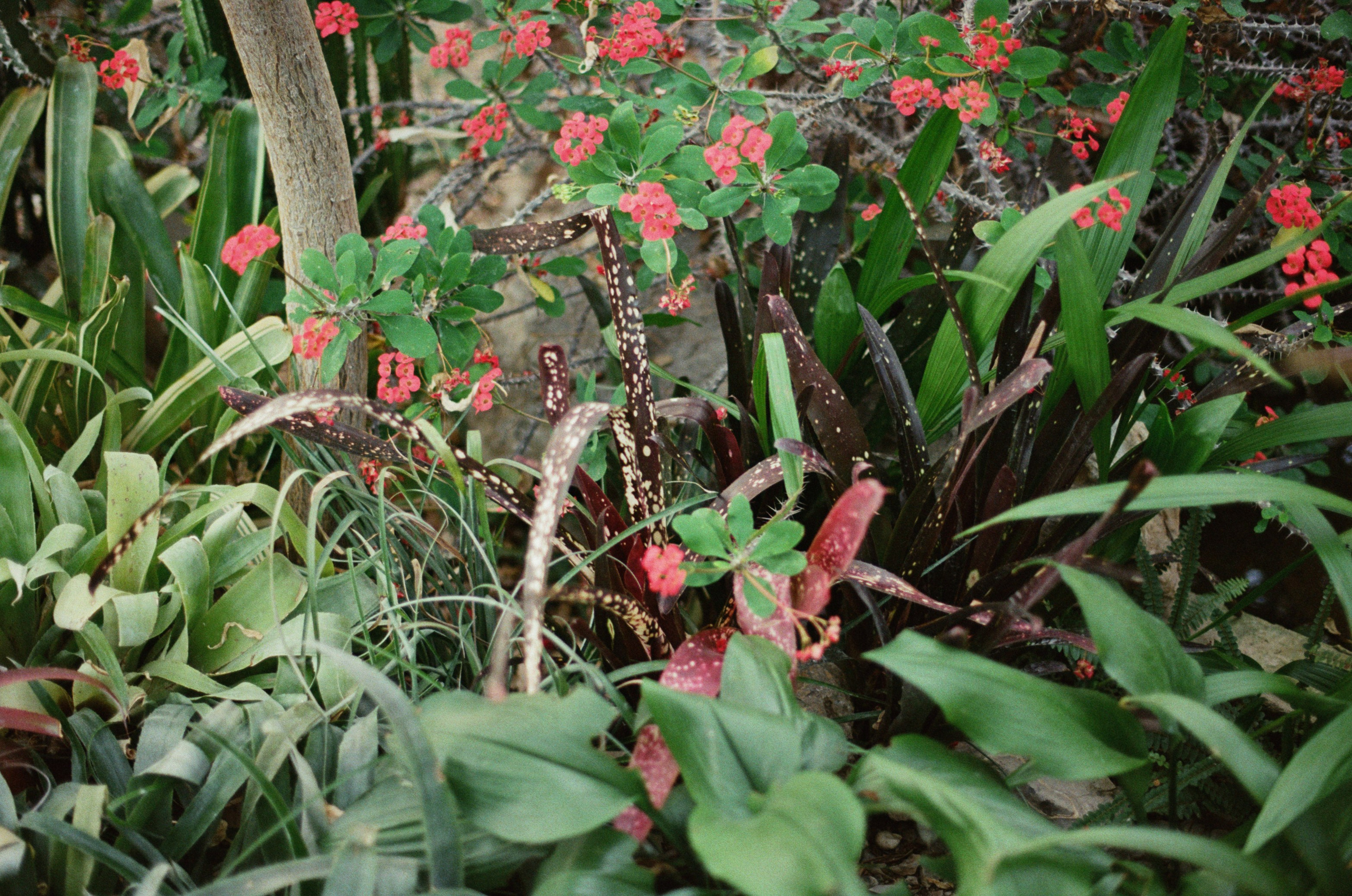 This time // ukraine, crimea III. EVER EXPOSED