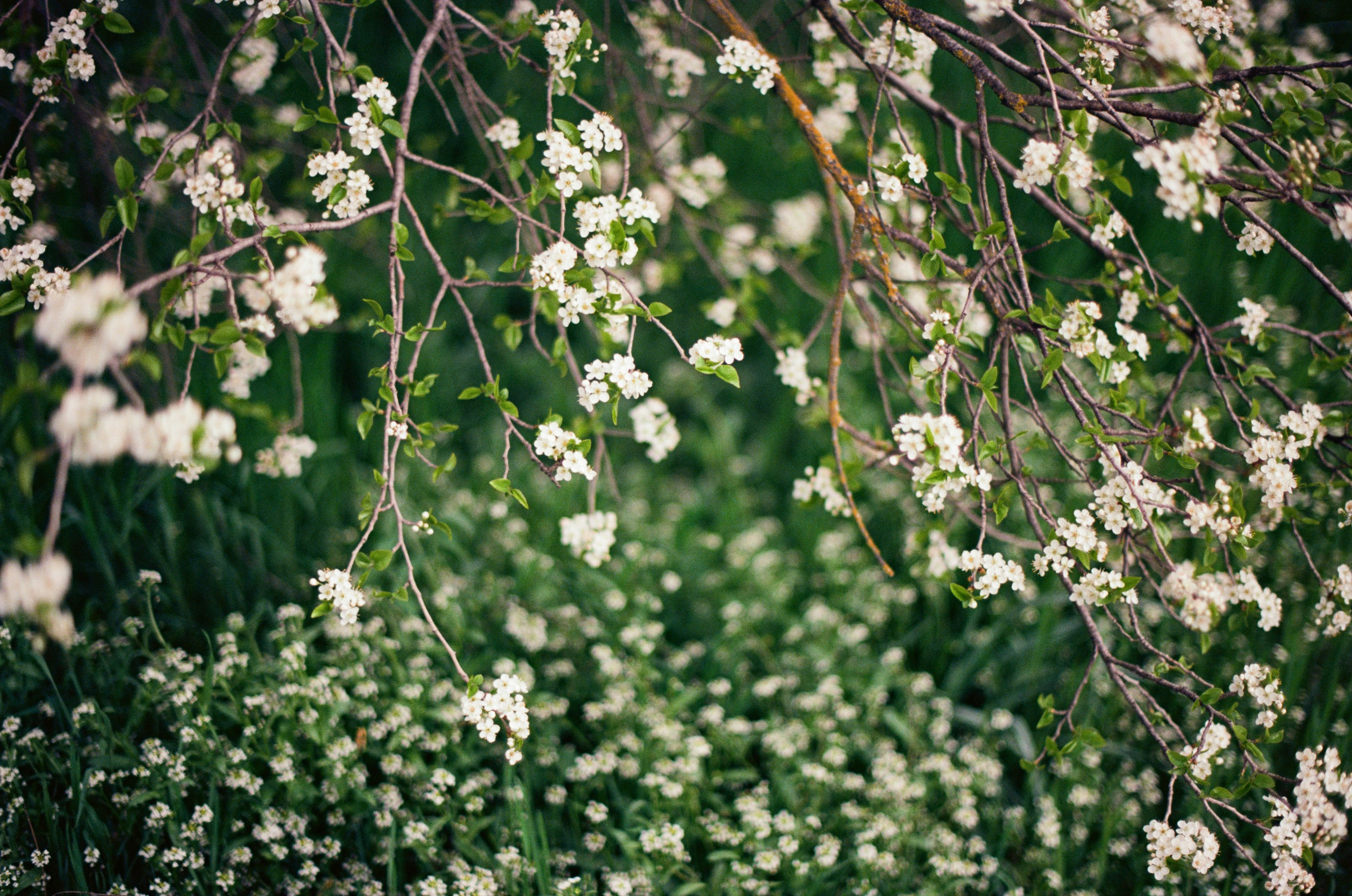 Follow you // ukraine, crimea II. EVER EXPOSED