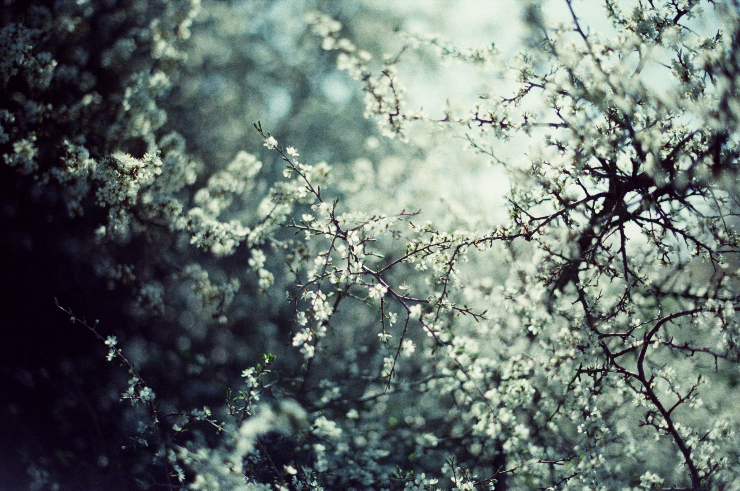 Some kind of madness // ukraine, crimea III. EVER EXPOSED