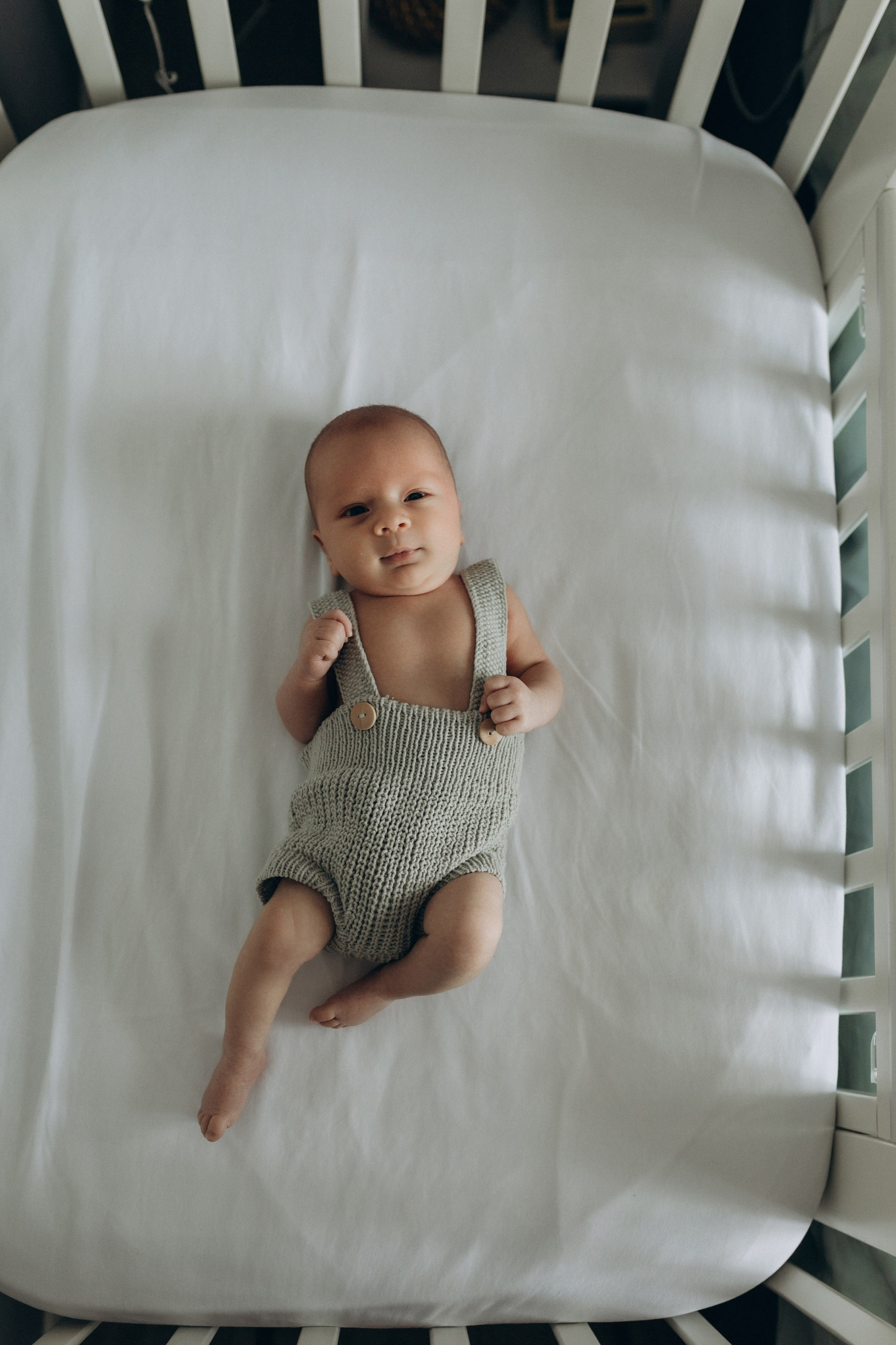 Остап. Семейный фотограф в Краснодаре Яна Морева