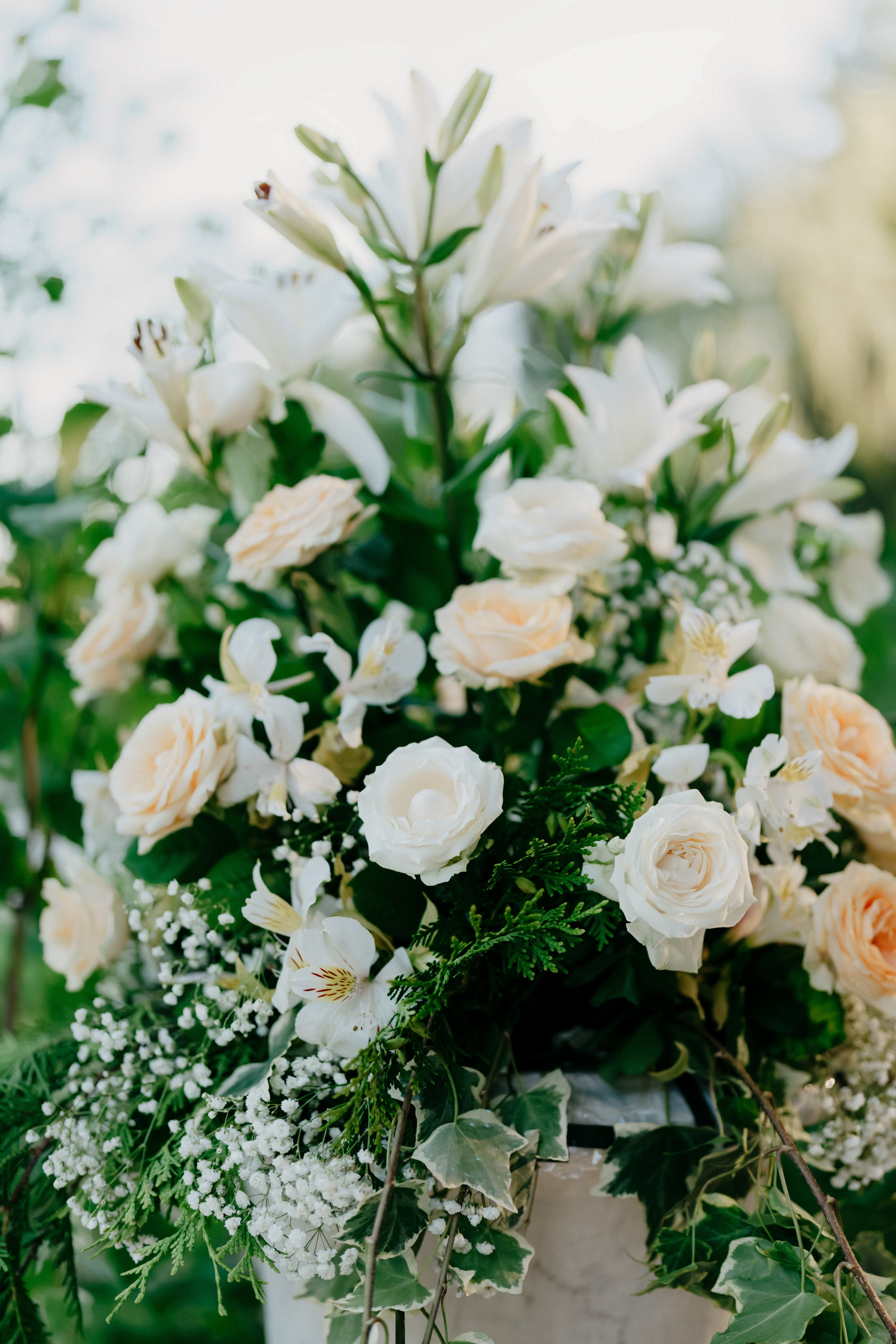 Фестиваль роз. Фотограф в Москве Дмитрий Рогов