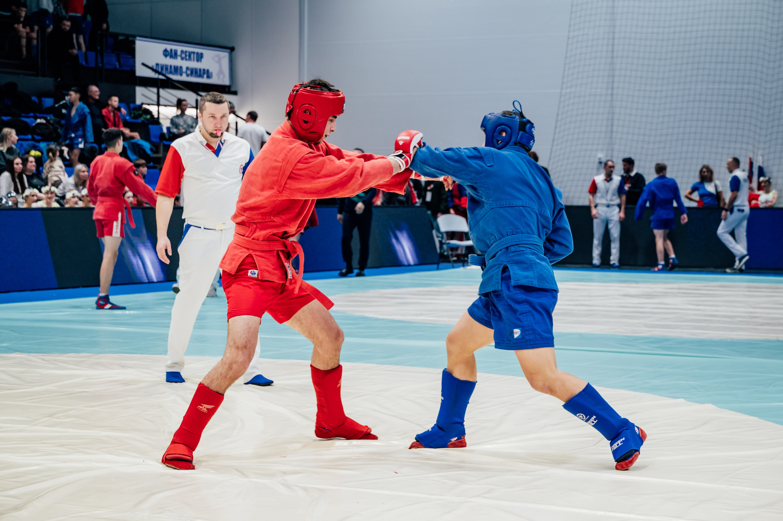 Турнир по самбо ЮФО