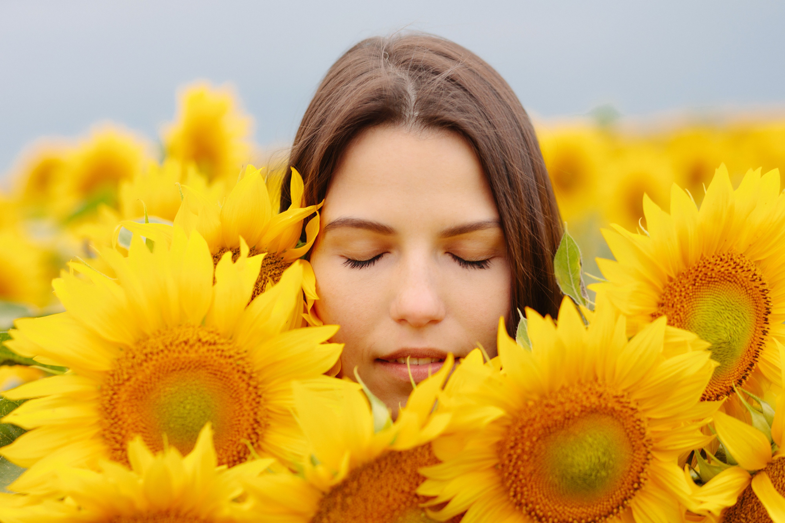 Подсолнухи. Dima Lemeshevsky