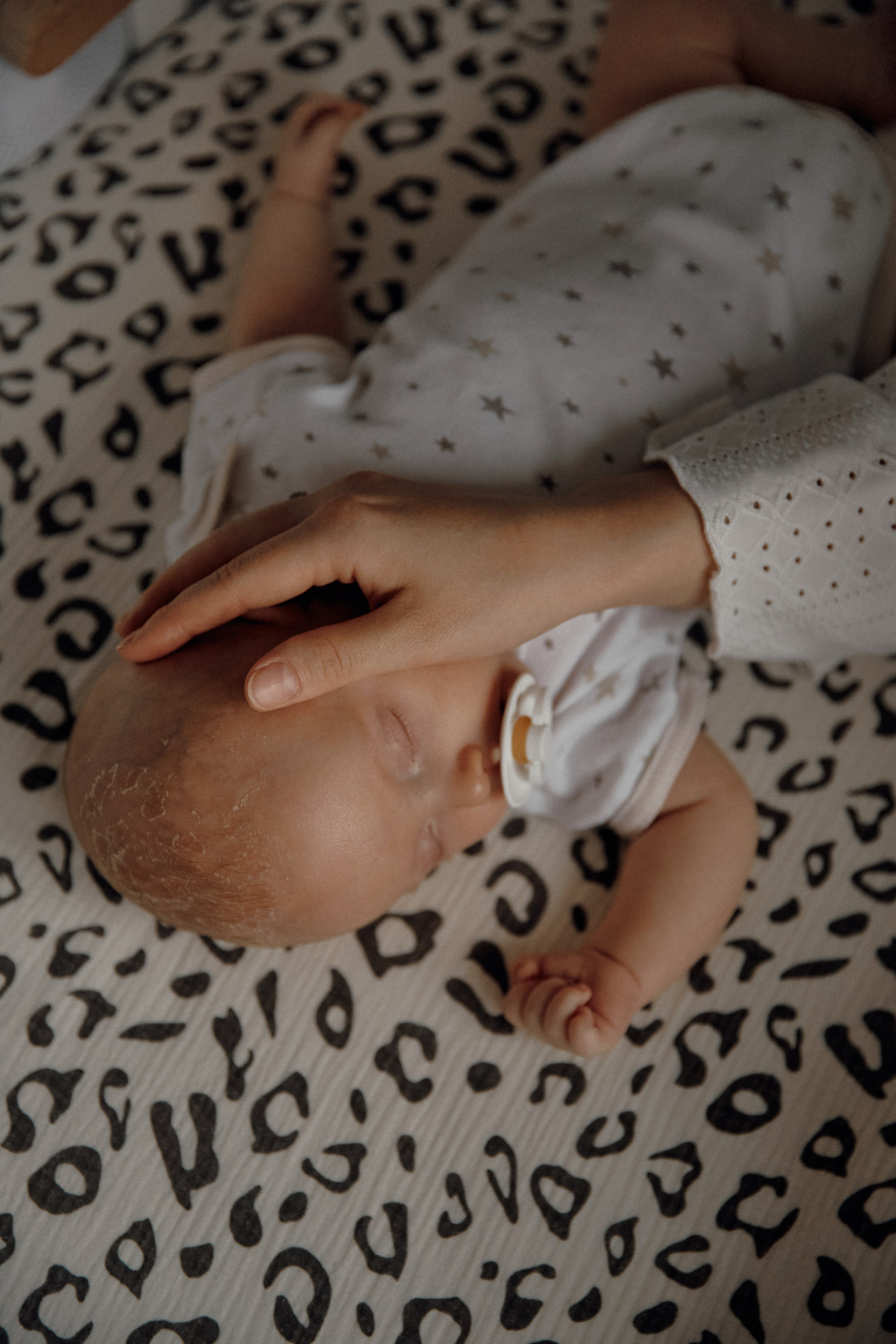 Домашние съемки. Фотограф Света Бажина