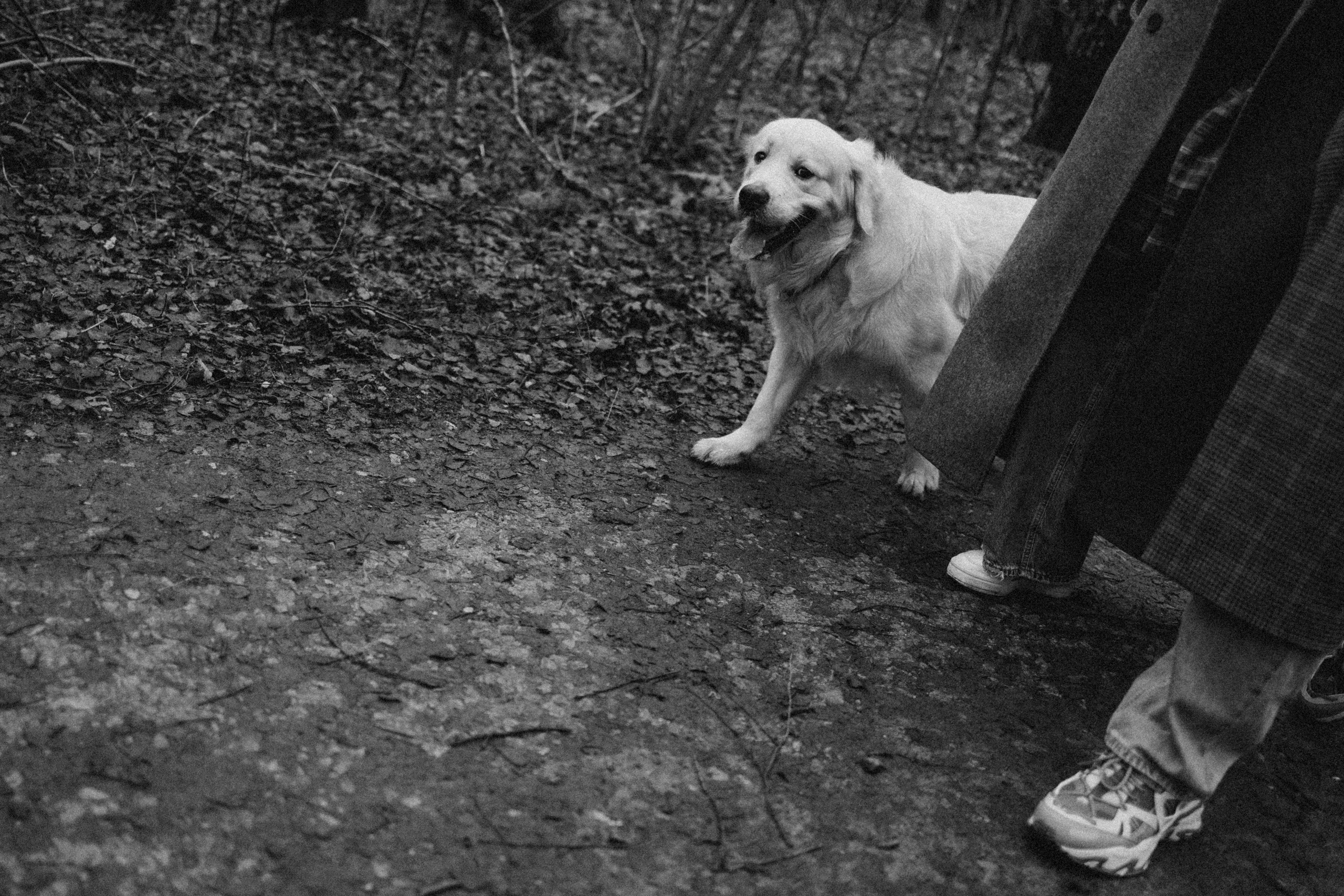 Лаки и его семья. Фотограф — Анималист | Санкт-Петербург