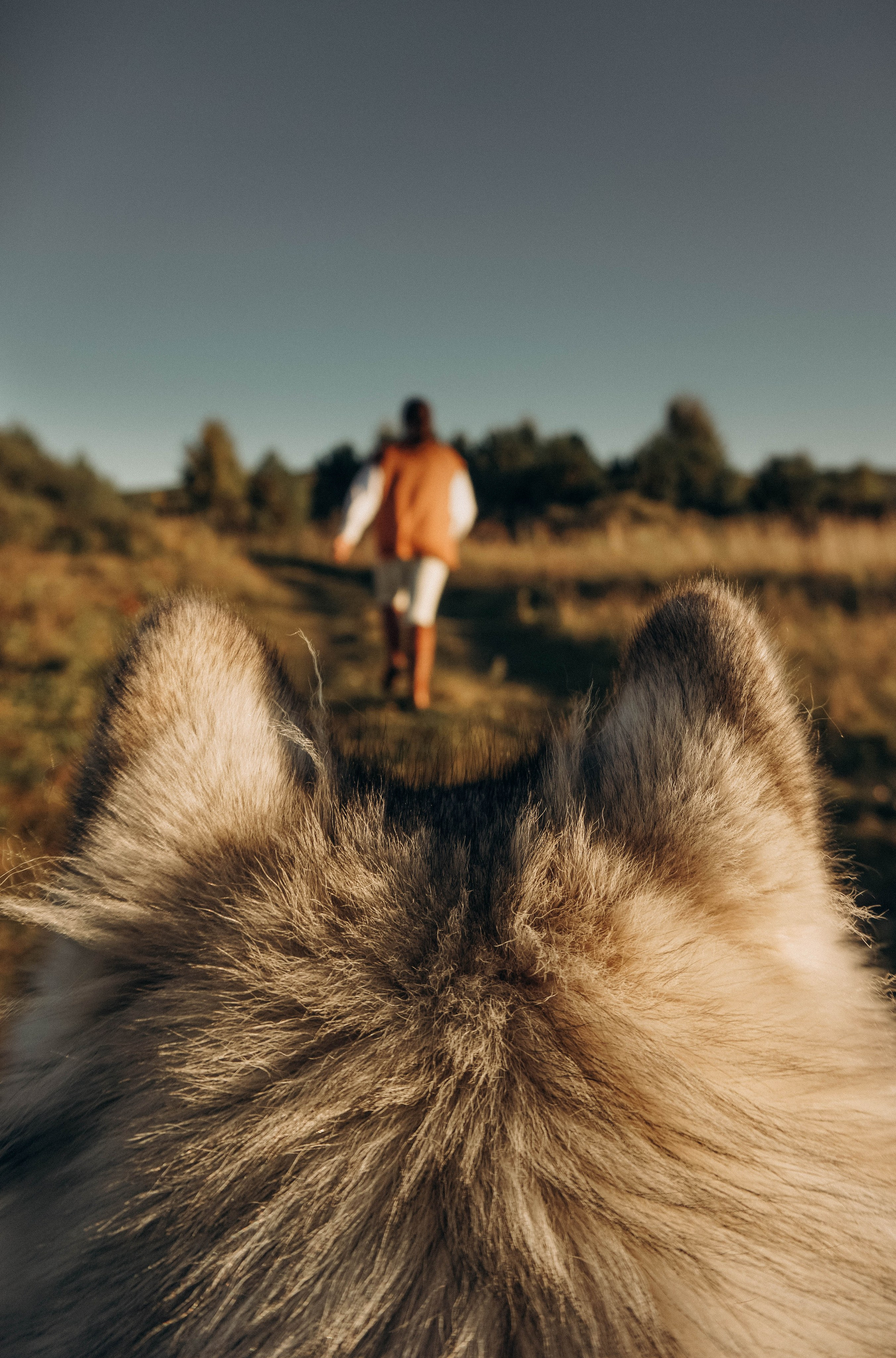 Индивидуальные съемки. Фотограф Голенева Анастасия