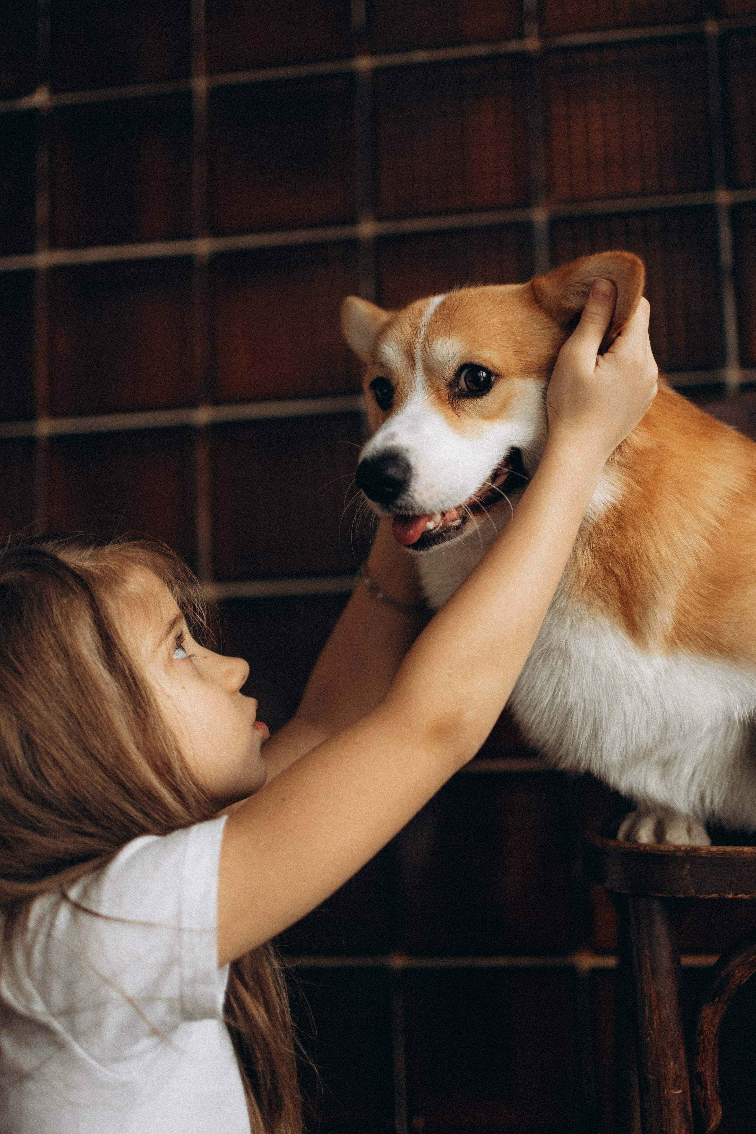 Зевс и его семья. Фотораф — анималист Мария Шистка