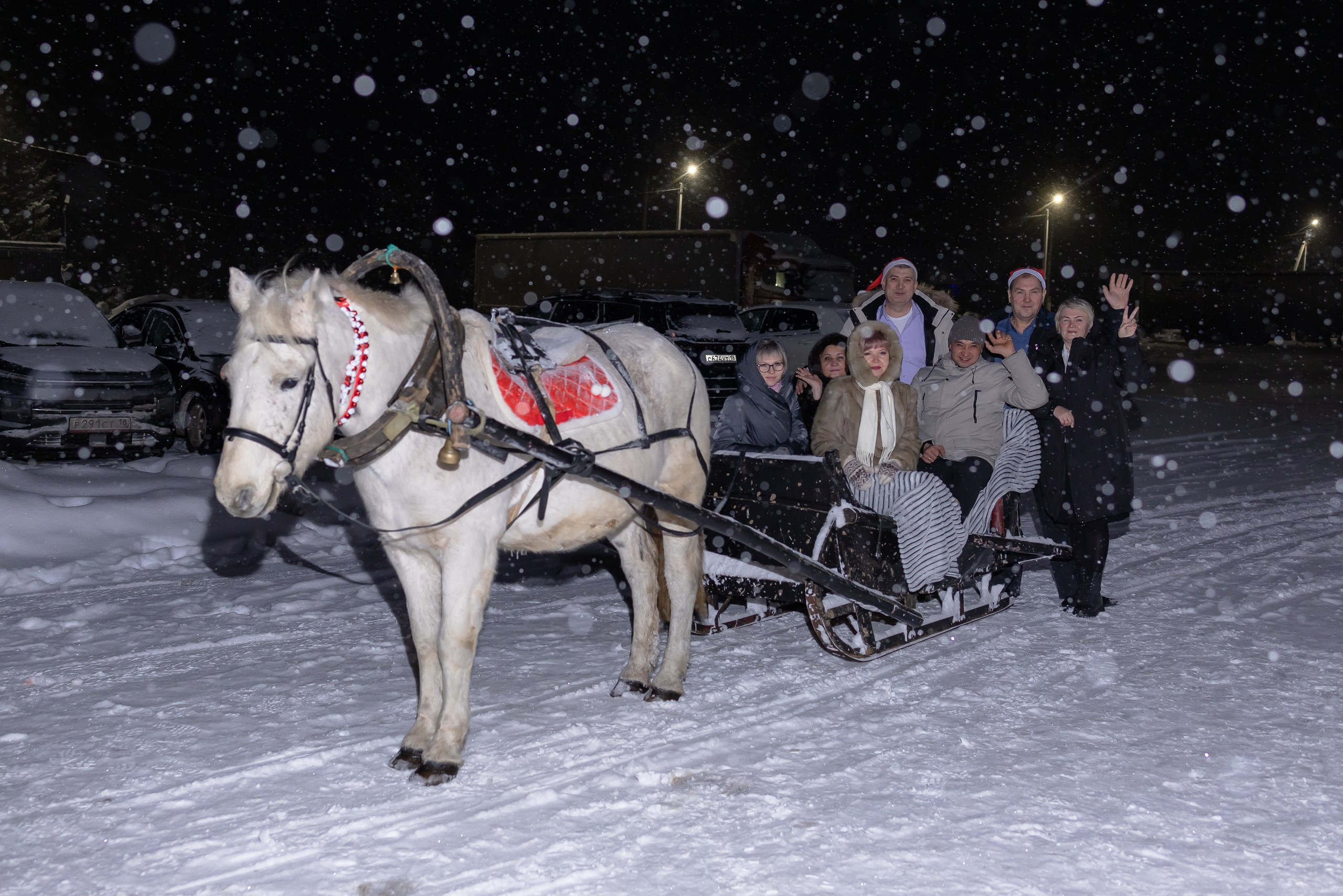 Новогодняя солянка