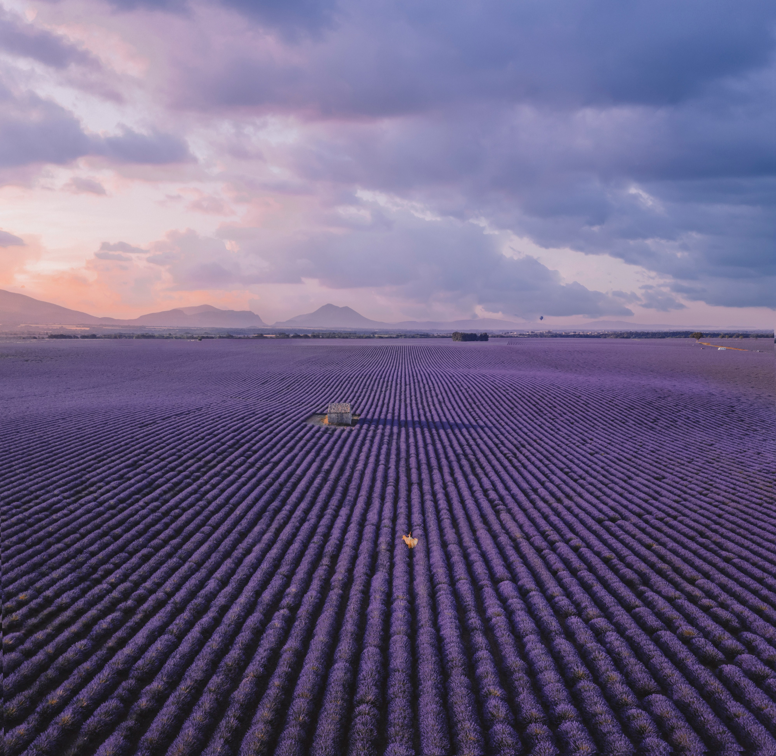 Съёмка на дрон. Фотограф Айгуль Вишня, съёмка в Москве и Санкт-Петербурге