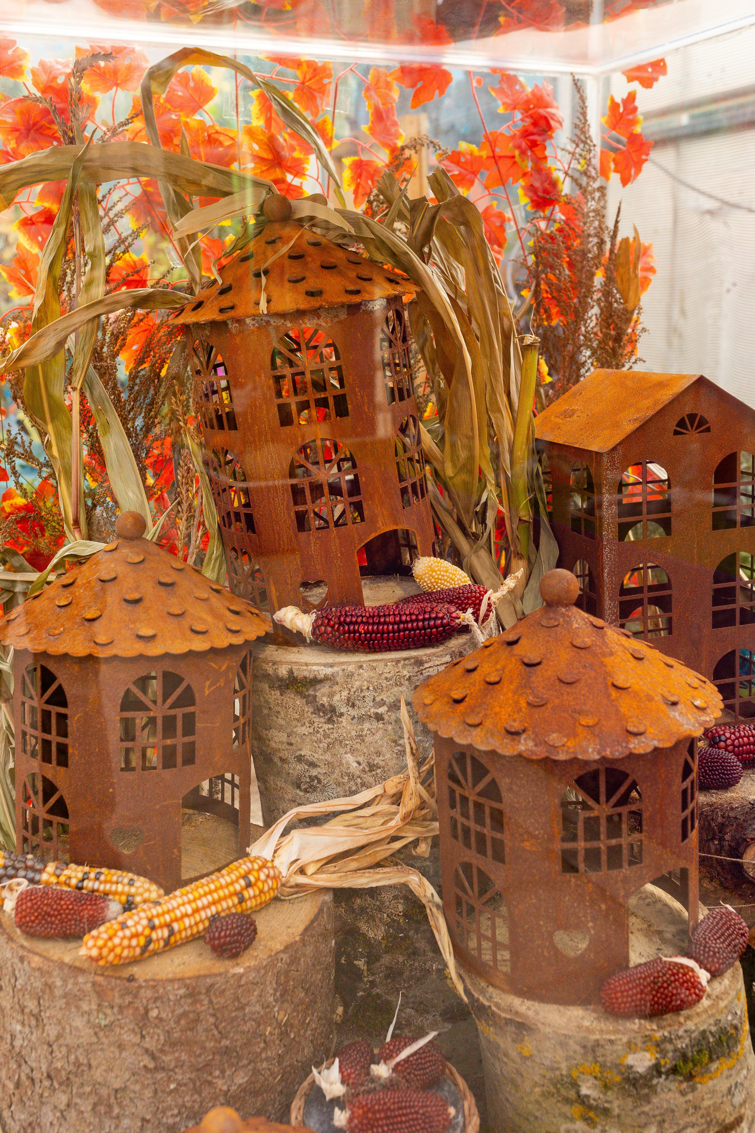 Овощи-гиганты. Александра Куликова фотограф, Москва