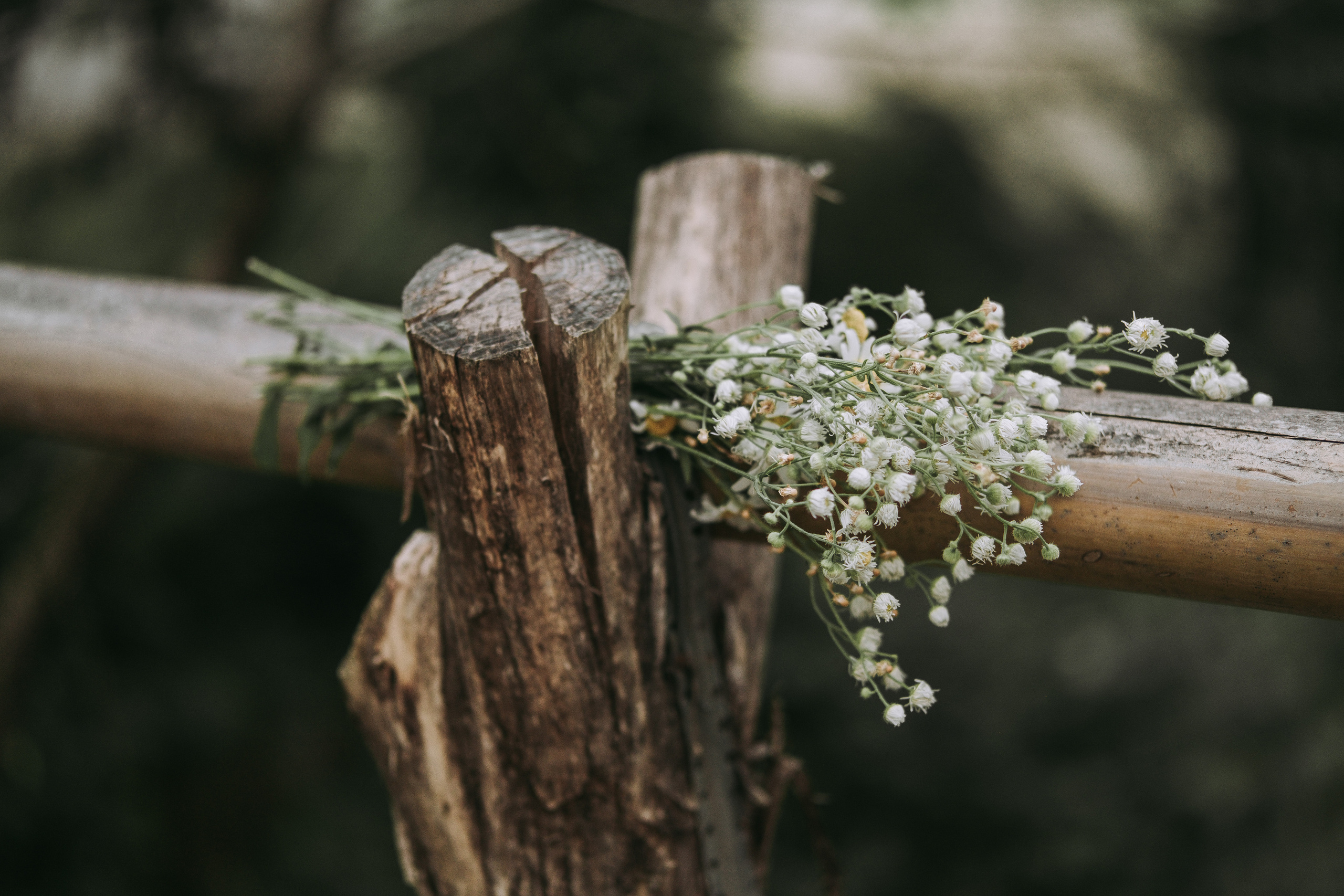 Шубарский водопад. Свадьба в Абхазии|Фотограф в Абхазии