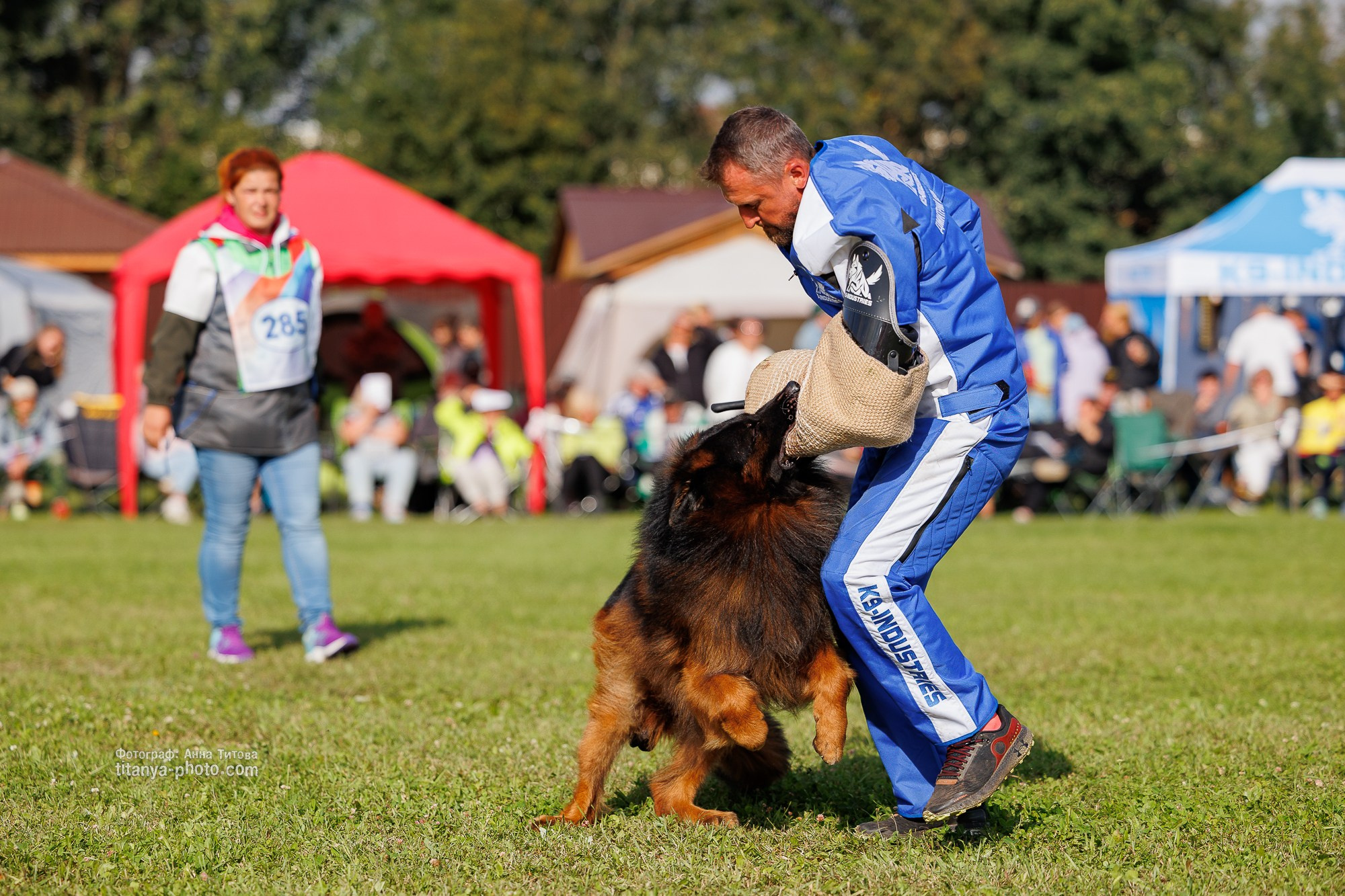Немецкие овчарки: фото из рингов и вне ринга, мутпроба (фотографии с выставок). Фотограф собак, фотограф-анималист Аня Титова (Titanya). Москва