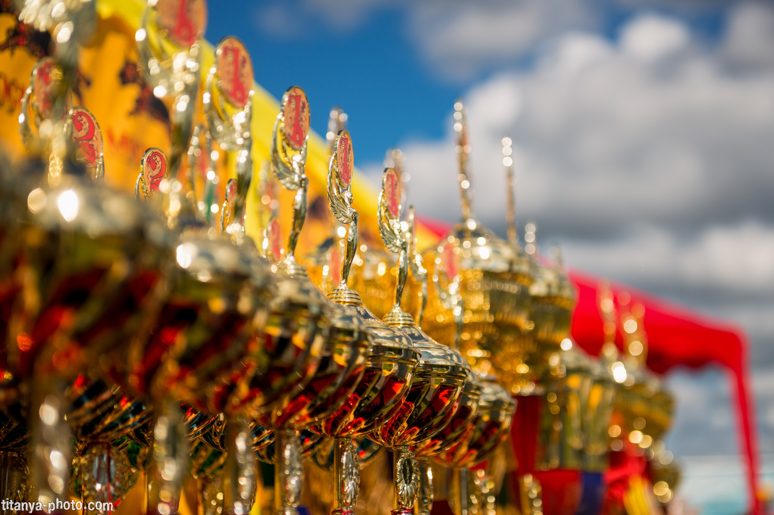 Фотографии с монопородных выставок немецких овчарок. Фотограф собак, фотограф-анималист Аня Титова (Titanya). Москва