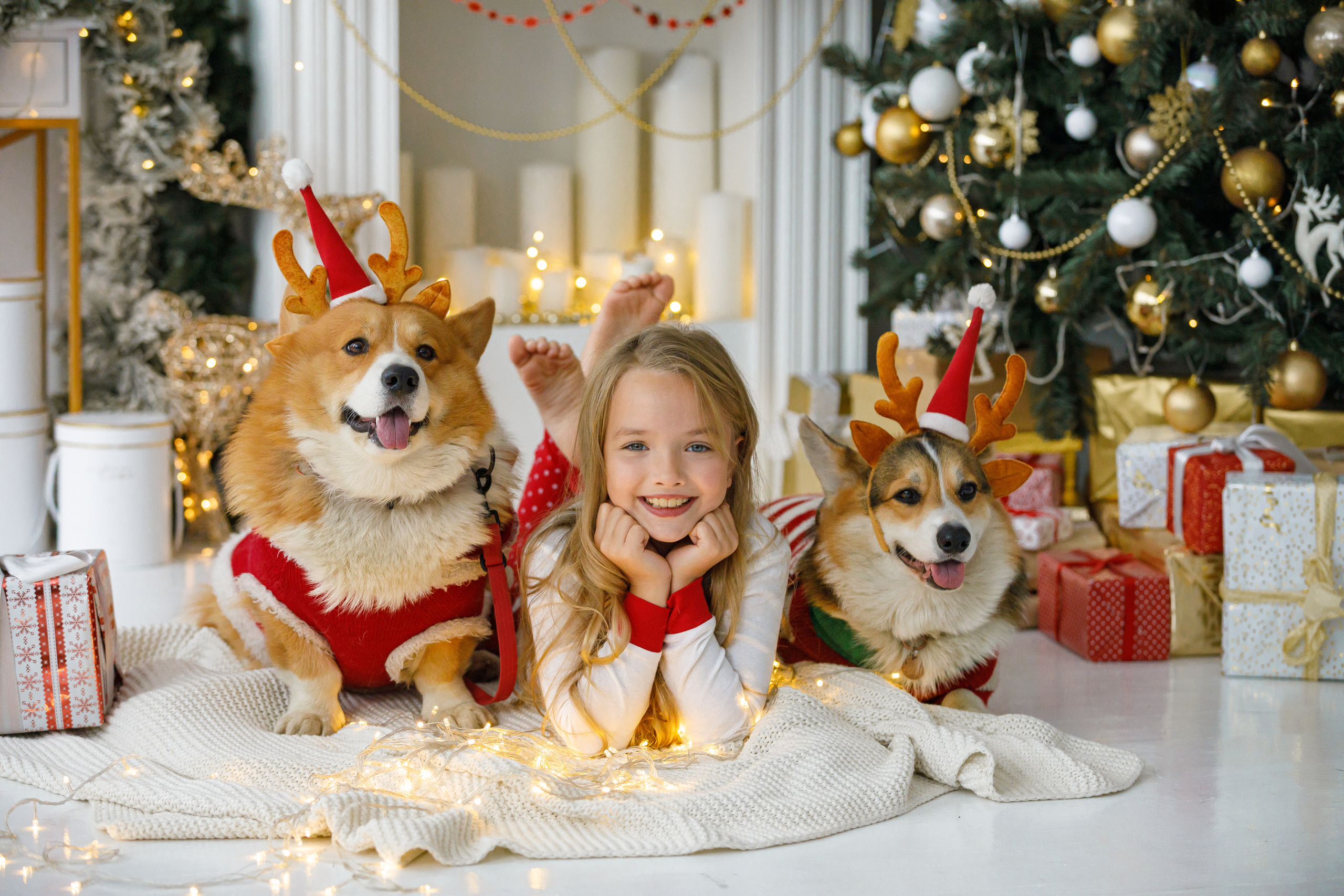 🎄Новогодние фотосессии. Портретный и семейный фотограф в Москве Ольга Туровцева