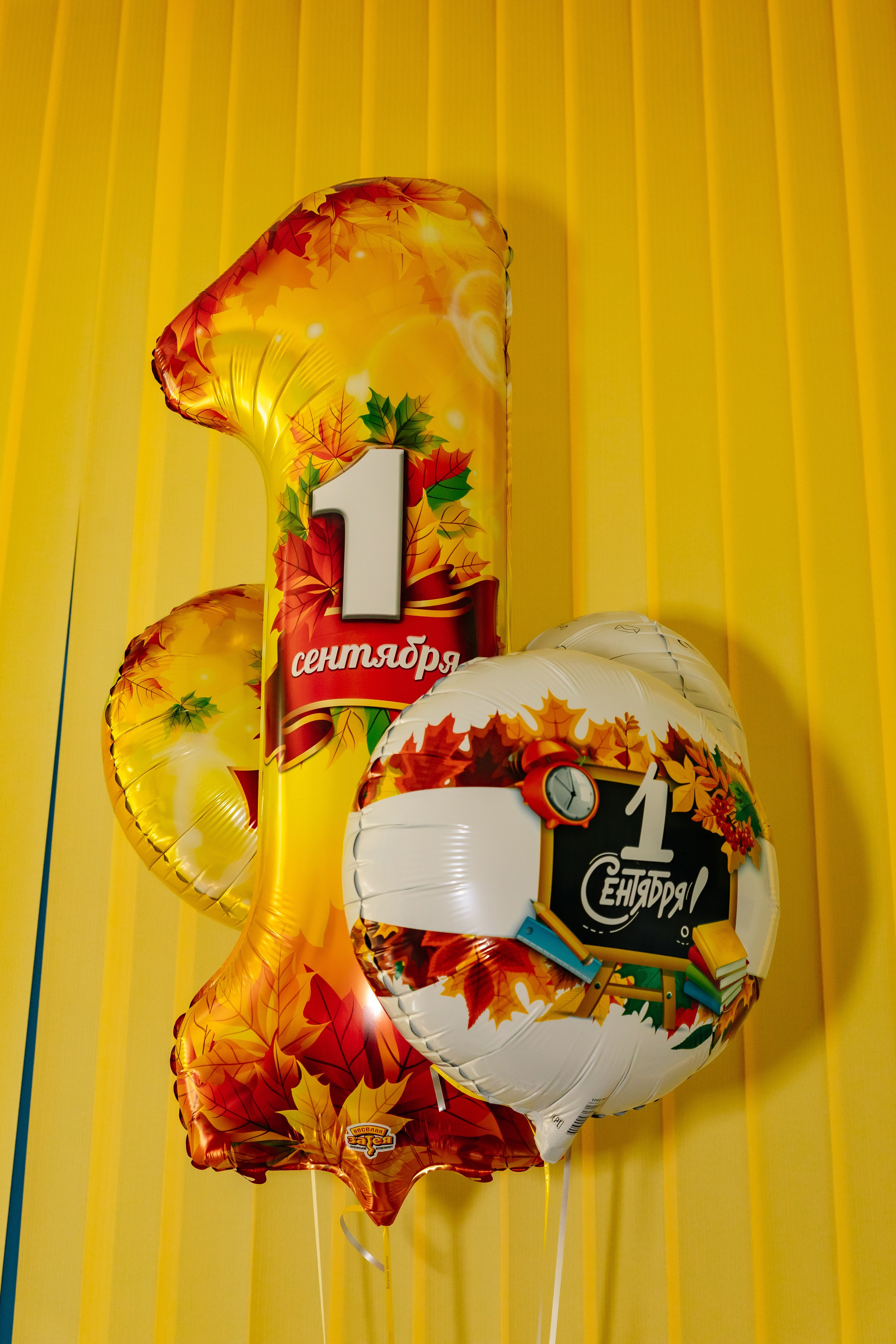 Линейка 1Б Школа Права и Экономики. Фотограф в Москве Яна Полосина