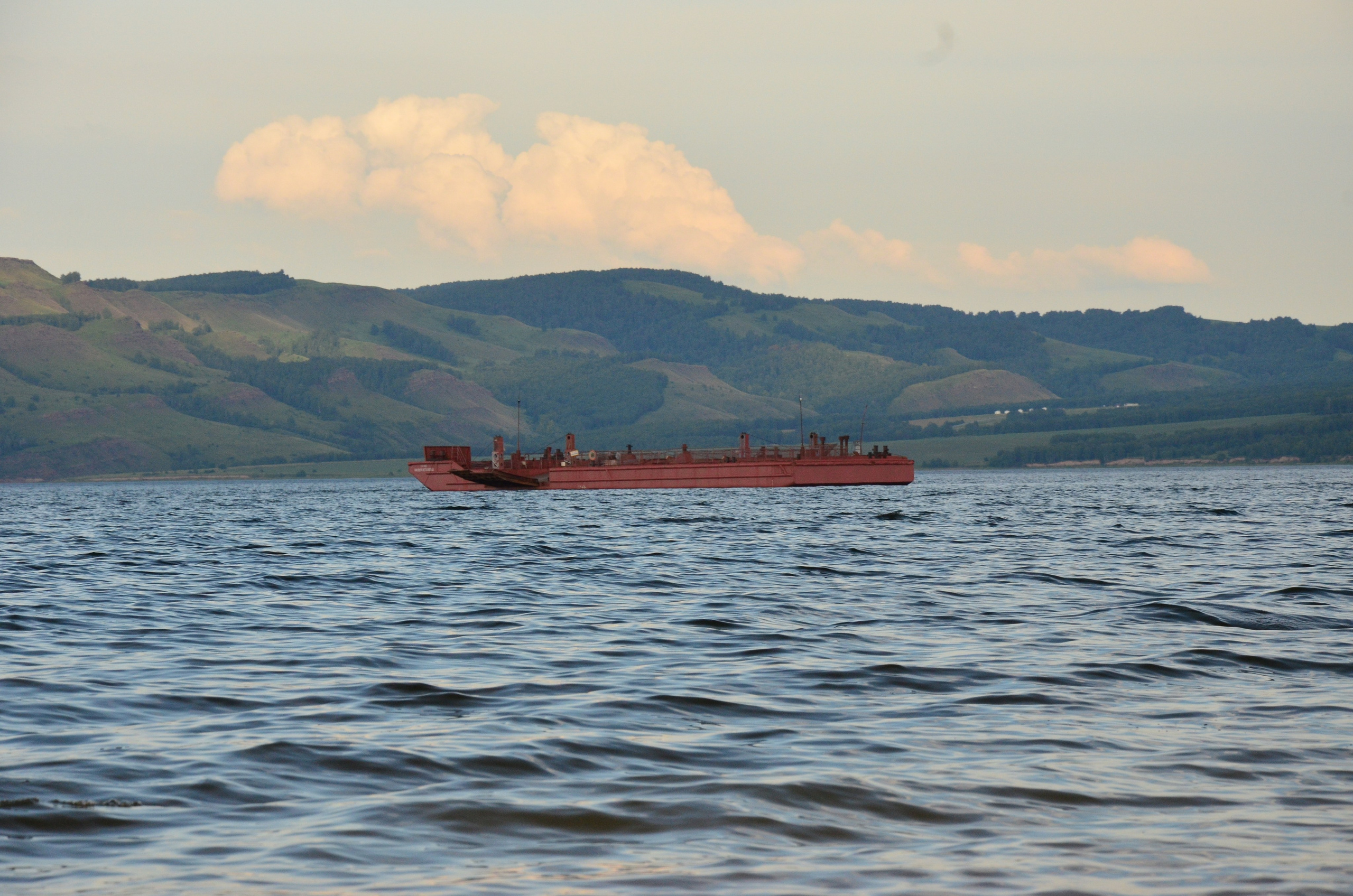 Дары природы. Фотограф viktor viktor