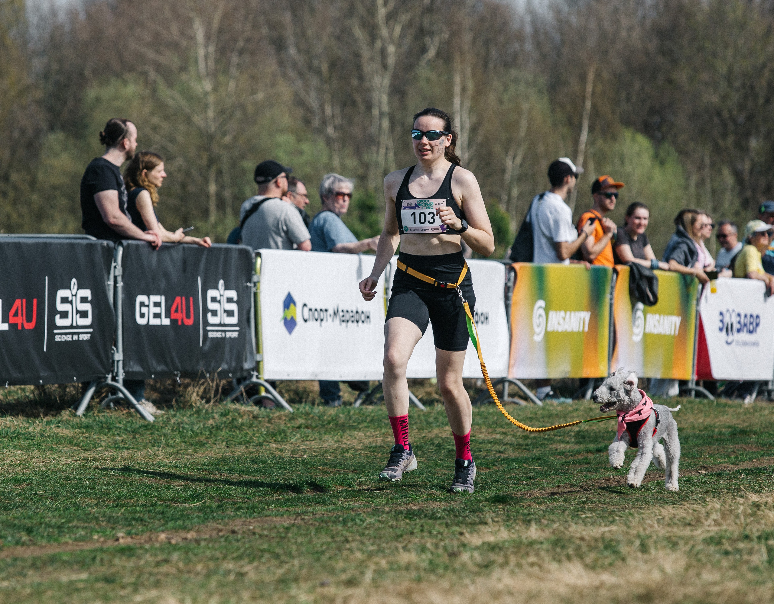 Кросс «Быстрый пёс» 2025. Репортажный фотограф в Москве