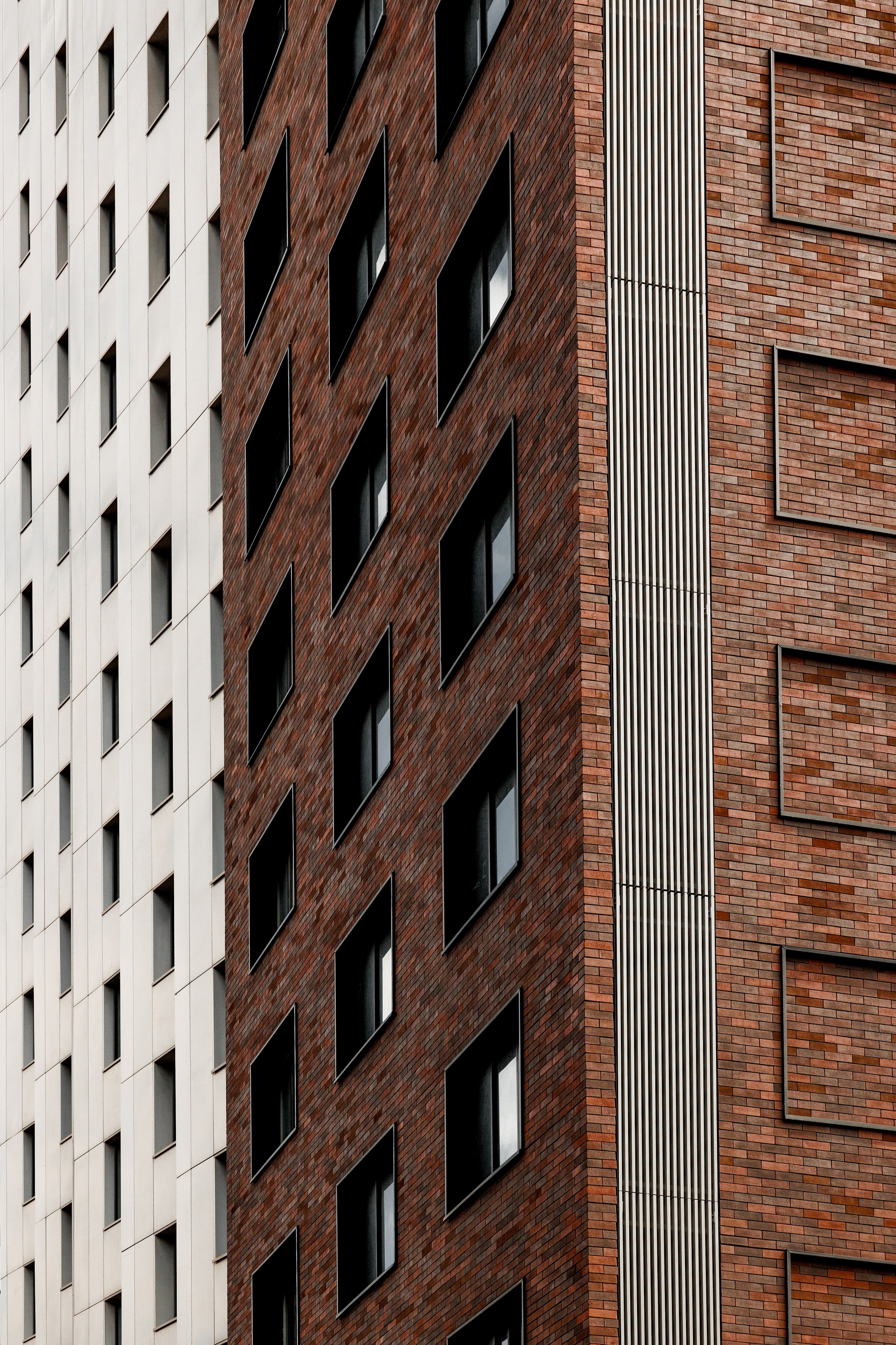 РЕНОВАЦИЯ — РУСАКОВА. АЛТ Портфолио