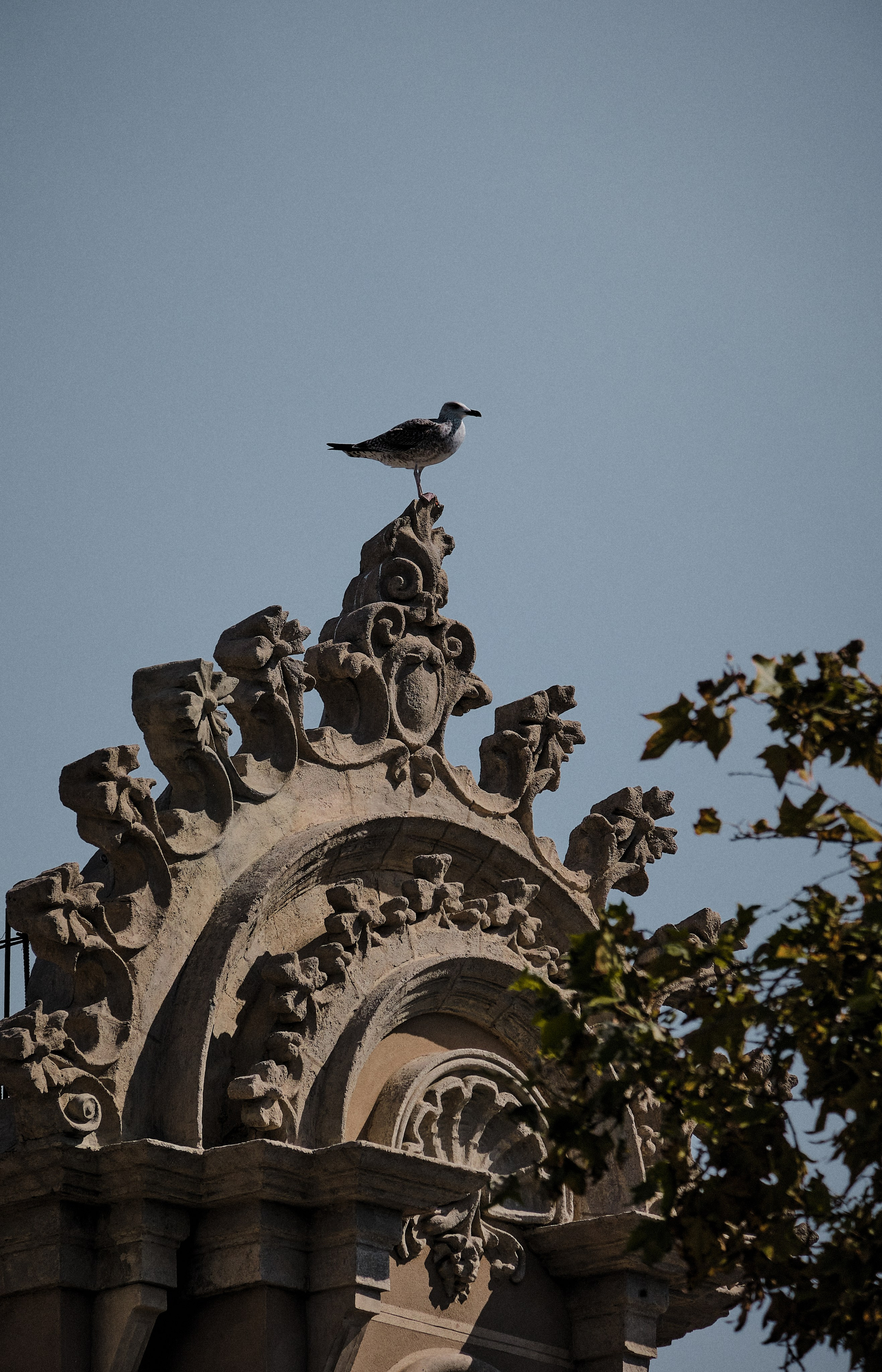 Barcelona. Aleksandr Kobtsev