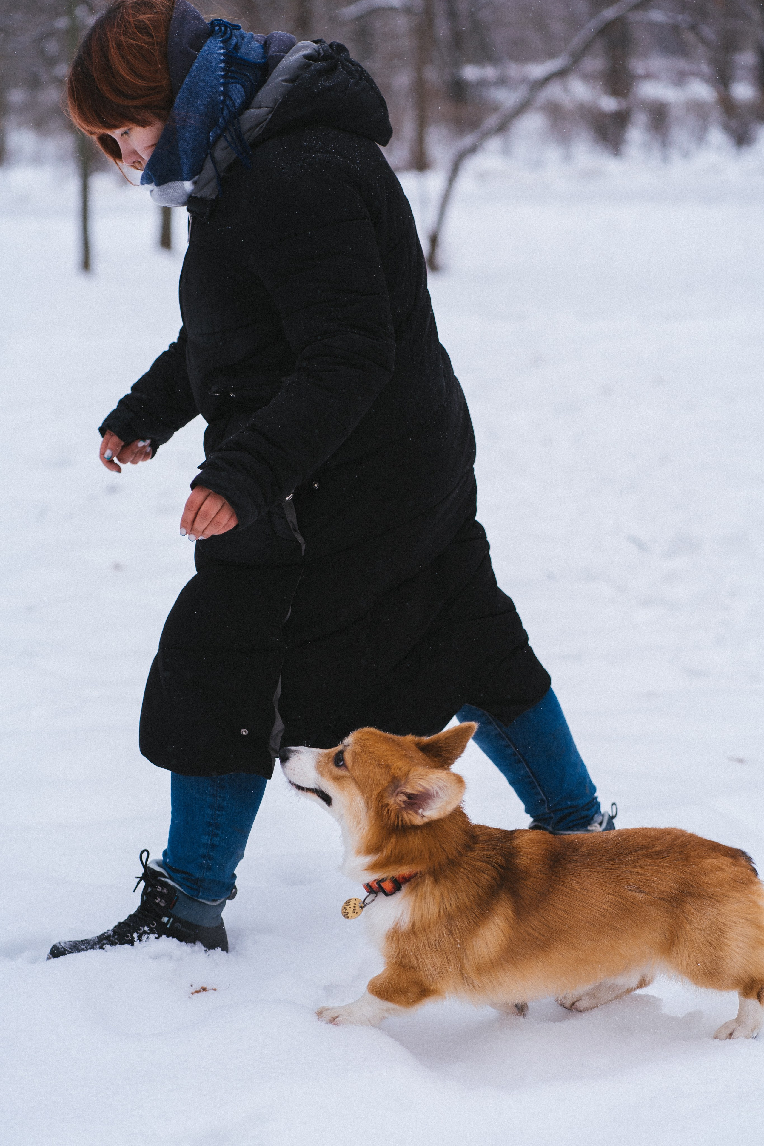Агата и Лайк. Свадебный фотограф в Москве Анна Полушина