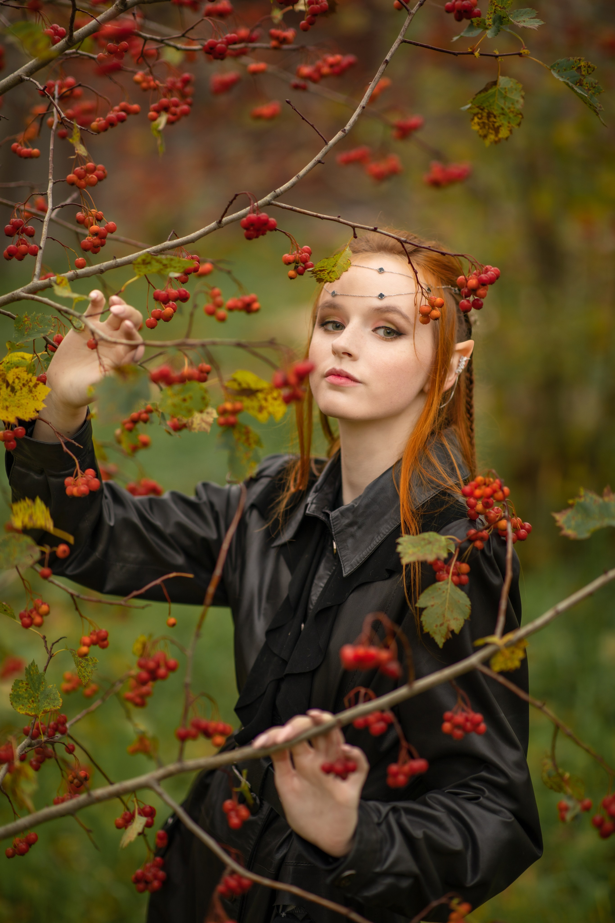 Волшебный лес